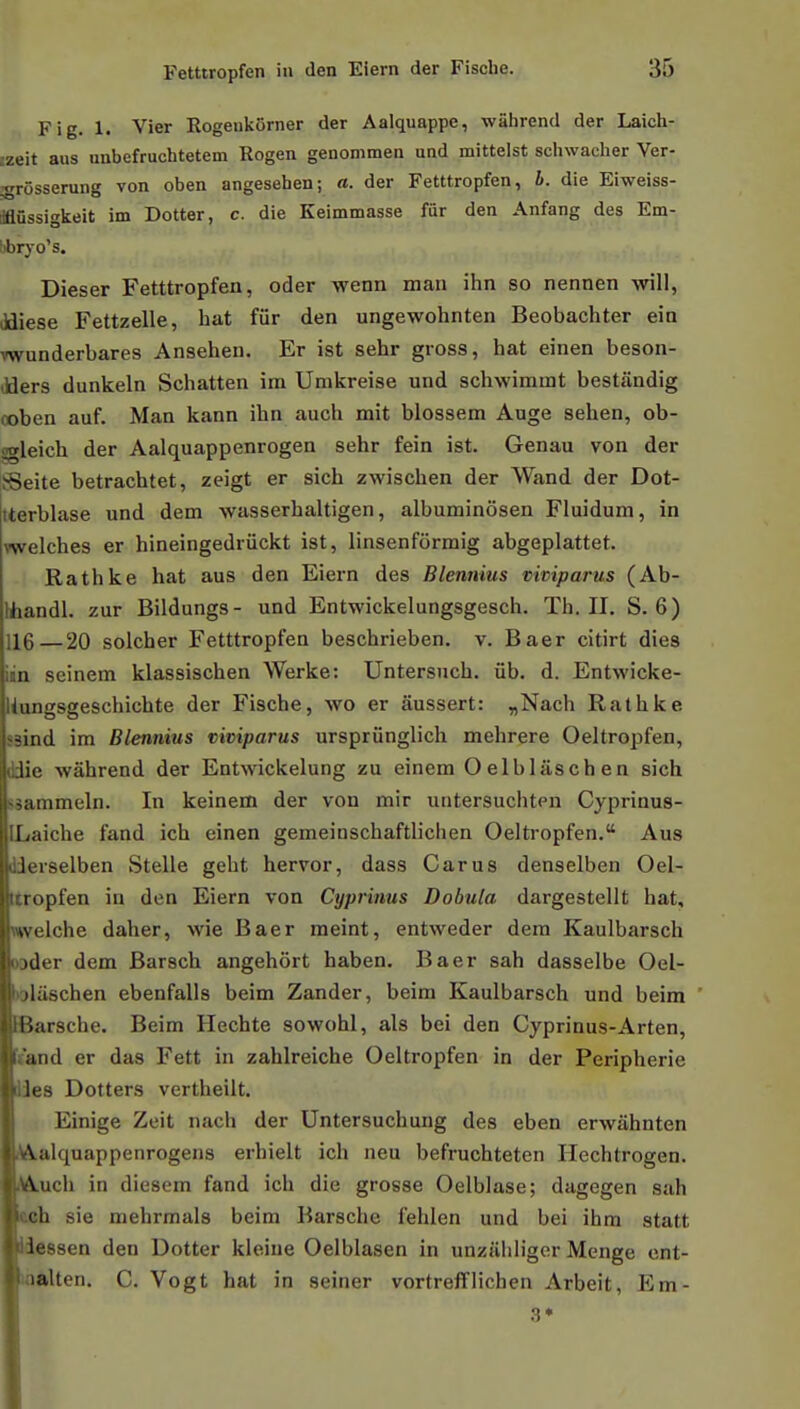 Fig. 1. Vier Rogeiikorner der Aalquappe, wahrend der Laich- izeit aus imbefruchtetem Rogen genonimen und mitteist schwacher Ver- grosserung von oben angesehen; a. der Fetttropfen, h. die Eiweiss- liflussigkeit im Dotter, c. die Keimmasse fur den Anfang des Em- libryo's. Dieser Fetttropfen, oder wenn man ihn so nennen will, ildiese Fettzelle, hat fiir den ungewohnten Beobachter eia vwunderbares Ansehen. Er ist sehr gross, hat einen beson- dders dunkeln Schatten im Umkreise und schwimmt bestandig coben auf. Man kann ihn auch mit blossem Auge sehen, ob- agleich der Aalquappenrogen sehr fein ist. Genau von der tSeite betrachtet, zeigt er sich zwischen der Wand der Dot- iterblase und dem wasserhaltigen, albuminosen Fluidum, in \'welches er hineingedriickt ist, linsenfòrmig abgeplattet. Rathke hat aus den Eiern des Blennius viviparus (Ab- Uiandl. zar Bildungs- und Entwickelungsgesch. Th. II. S. 6) 116—20 solcher Fetttropfen beschrieben. v. Baer citirt dies iin seinem klassischen Werke: Untersnch. ùb. d. Entwicke- liungsgeschichte der Fische, wo er aussert: „Nach Rathke BSind im Blennius viviparus urspriinglich mehrere Oeltropfen, ddie wahrend der Entwickelung zu einem Oelbliischen sich ssammeln. In keinem der von mir untersuchten Cyprinus- ILaiche fand ich einen gemeinschaftlichen Oeltropfen. Aus dderselben Stelle geht hervor, dass Carus denselben Oel- Itropfen in den Eiern von Cyprinus Dobula dargestellt hat, Mvelche daher, wie Baer meint, entweder dem Kaulbarsch oader dem Barsch angehòrt haben. Baer sah dasselbe Oel- bliischen ebenfalls beim Zander, beim Kaulbarsch und beim Barsche. Beim Hechte soveohl, als bei den Cyprinus-Arten, «and er das Fett in zahlreiche Oeltropfen in der Peripherie iies Dotters vertheilt. Einige Zeit nach der Untersuchung des eben erwiihnten AA.alquappenrogens erhielt ich neu befruchteten Ilechtrogen. tóiuch in diesem fand ich die grosse Oelblase; dagegen sah KMsh sie mehrmals beim Barsche fehlen und bei ihm statt Idessen den Dotter kleine Oelblasen in unzaliligor Menge ent- laalten. C. Vogt hat in seiner vortreflflichen Arbeit, Em- 3»