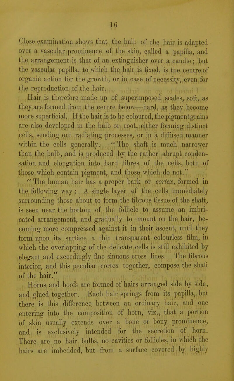 Close examination shows that the bulb pf the hair is adapted over a vascular j)rominence of the skin, called a papilla, and the arrangement is that of au extinguisher over a candle; but the vascular papilla, to which the hair is fixed, is the centre of organic action for the growth, or in case of necessity, even for tlie reproduction of the hair. Hair is therefore made up of superimposed scales, soft, as they are formed from , the centre below—hard, as they become more superficial. If the hair is to be coloured, the pigmentgrauis are also developed in the bulb or.,i;potj,,ei,ther forming distinct cells, sending out radiating processes, or in a difiused manner within the cells generally.]j.. ^ ,The shaft is much narrower than the bulb, ,and is produced by the rather abrupt conden- sation and elongation into hard fibres of the cells, both of those which contain pigment, and those which do not.  The human hair has a proper bark, or oqHex, formed in the following way : Aisingle layer the cells immediately surrounding those about to form the fibrous tissue of the shaft, is seen near the bottom of the follicle to assume an imbri- cated arrangement, and gradually to mount on the hair, be- coming more compressed against it in their ascent, until they form upon its surface a thin transparent colourless film, in which the overlapping of the delicate cells is still exhibited by elegant and exceedingly fine sinuous cross lines. The fibrous interior, and this peculiar cortex together, compose the shaft of the hair. Horns and hoofs are formed of hairs arranged side by side, and glued together. Each hair springs from its ])apilla, but there is this difference between an ordinary hair, and one entering into the composition of horn, yiz., that a portion of skin usually extends over a bone or bony prominence, and is exclusively intended for the secretion of horn. There are no hair bulbs, no cavities or folhcles, in whidh the hairs are imbedded, but from a surface covered jb^: higl^ly