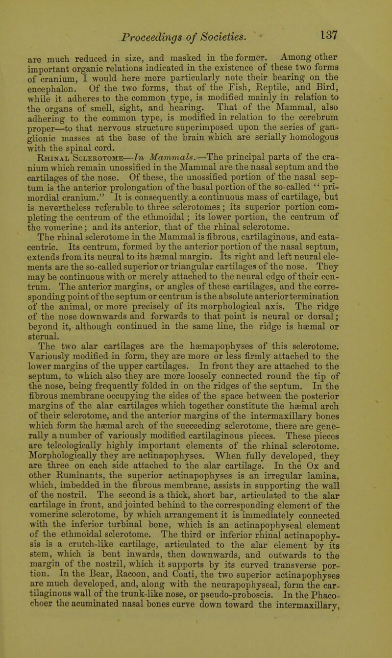 are much reduced in size, and masked in the former. Among other important organic relations indicated in the existence of these two forms of cranium, I would here more particularly note their bearing on the encephalon. Of the two forms, that of the Fish, Reptile, and Bird, while it adheres to the common type, is modified mainly in relation to the organs of smell, sight, and hearing. That of the Mammal, also adhering to the common type, is modified in relation to the cerebrum proper—to that nervous structure superimposed upon the series of gan- glionic masses at the base of the brain which are serially homologous with the spinal cord. Rhinal Sclerotome—In Mammals.—The principal parts of the cra- nium which remain unossified in the Mammal are the nasal septum and the cartilages of the nose. Of these, the imossified portion of the nasal sep- tum is the anterior prolongation of the basal portion of the so-called  pri- mordial cranium. It is consequently a continuous mass of cartilage, but is nevertheless referable to three sclerotomes ; its superior portion com- pleting the centrum of the ethmoidal; its lower portion, the centrum of the vomerine; and its anterior, that of the rhinal sclerotome. The rhinal sclerotome in the Mammal is fibrous, cartilaginous, and cata- centric. Its centrum, formed by the anterior portion of the nasal septum, extends from its neural to its haemal margin. Its right and left neural ele- ments are the so-called superior or triangular cartilages of the nose. They may be continuous with or merely attached to the neural edge of their cen- trum. The anterior margins, or angles of these cartilages, and the corre- sponding point of the septum or centrum is the absolute anterior termination of the animal, or more precisely of its morphological axis. The ridge of the nose downwards and forwards to that point is neural or dorsal; beyond it, although continued in the same line, the ridge is haemal or sternal. The two alar cartilages are the haemapophyses of this sclerotome. Variously modified in form, they are more or less firmly attached to the lower margins of the upper cartilages. In front they are attached to the septum, to which also they are more loosely connected round the tip of the nose, being frequently folded in on the ridges of the septum. In the fibrous membrane occupying the sides of the space between the posterior margins of the alar cartilages which together constitute the hasmal arch of their sclerotome, and the anterior margins of the intermaxillary bones which form the haemal arch of the succeeding sclerotome, there are gene- rally a number of variously modified cartilaginous pieces. These pieces are teleologically highly important elements of the rhinal sclerotome. Morphologically they are actinapophyses. When fully developed, they are three on each side attached to the alar cartUage. In the Ox and other Ruminants, the superior actinapophyses is an irregular lamina, which, imbedded in the fibrous membrane, assists in supporting the wall of the nostril. The second is a thick, short bar, articulated to the alar cartilage in front, and jointed behind to the corresponding element of the vomerine sclerotome, by which arrangement it is immediately connected with the inferior turbinal bone, which is an actinapophyseal element of the ethmoidal sclerotome. The third or inferior rhinal actinapophy- sis is a crutch-like cartilage, articulated to the alar element by its stem, which is bent inwards, then downwards, and outwards to the margin of the nostril, which it supports by its curved transverse por- tion. In the Bear, Racoon, and Coati, the two superior actinapophyses are much developed, and, along with the neurapophyseal, form the car- tilaginous wall of the trunk-like nose, or pseudo-proboscis. In the Phaco- choer the acuminated nasal bones curve down toward the intermaxillary,