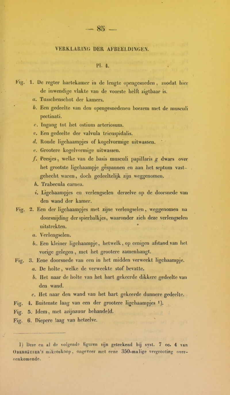 verklarim; der afbeei.di\(jen. PI. 4. Kijr. 1. üe regter harlekanier in de lengte opengesneden , zoodal hier de inwendige vlakte van de voorste helft zigtbaar is. a. Tusschenschot der kamers. 6. Een gedeelte van den opengesnedenen boezem met de musciili pectinati. r. Ingang tol het ostiuni arteriosum. r. Een gedeelte der valvula tricuspidalis. (l. Ronde ligchaampjes of kogelvormige uitwassen. r. Grootere kogelvormige uitwassen. ƒ. Peesjes, welke van de basis musculi papillaris g dwars over het grootste ligchaampje gespannen en aan het septum vast- gehecht waren, doch gedeeltelijk zijn weggenomen. h. Trabecula carnea. i. Ligchaampjes en verlengselen derzelve op de doorsnede van den wand der kamer. Fig. 2. Een der ligchaampjes met zijne verlengselen, weggenomen na doorsnijding derspierbalkjes, waaronder zich deze verlengselen uitstrekten. «. Verlengselen. b. Een kleiner ligchaampje, hetwelk, op eenigen afstand van hel vorige gelegen , met het grootere zamcnhangt. Kig. 'ti. Eene doorsnede van een in het midden verweekt ligchaampje. a. De holte, welke de verweekte stof bevatte. b. Het naar de holte van het hart gekeerde dikkere gedeelte van den wand. c. Het naar den wand van het hart gekeerde dunnere gedeelte. Fig. 4. Buitenste laag van een der grootere ligchaampjes Fig. 5. Idem, met azijnzuur behandeld. Fig. 6. Diepere !aag van hetzelve. 1) Dere en al de volgende Kguren tijn geleekend bij syst. 7 oc 4 \an OBEfliiaüSEB'!? mikiosknop. ongeveer met eene .3.50-malige vergrooting over- eenkomende.