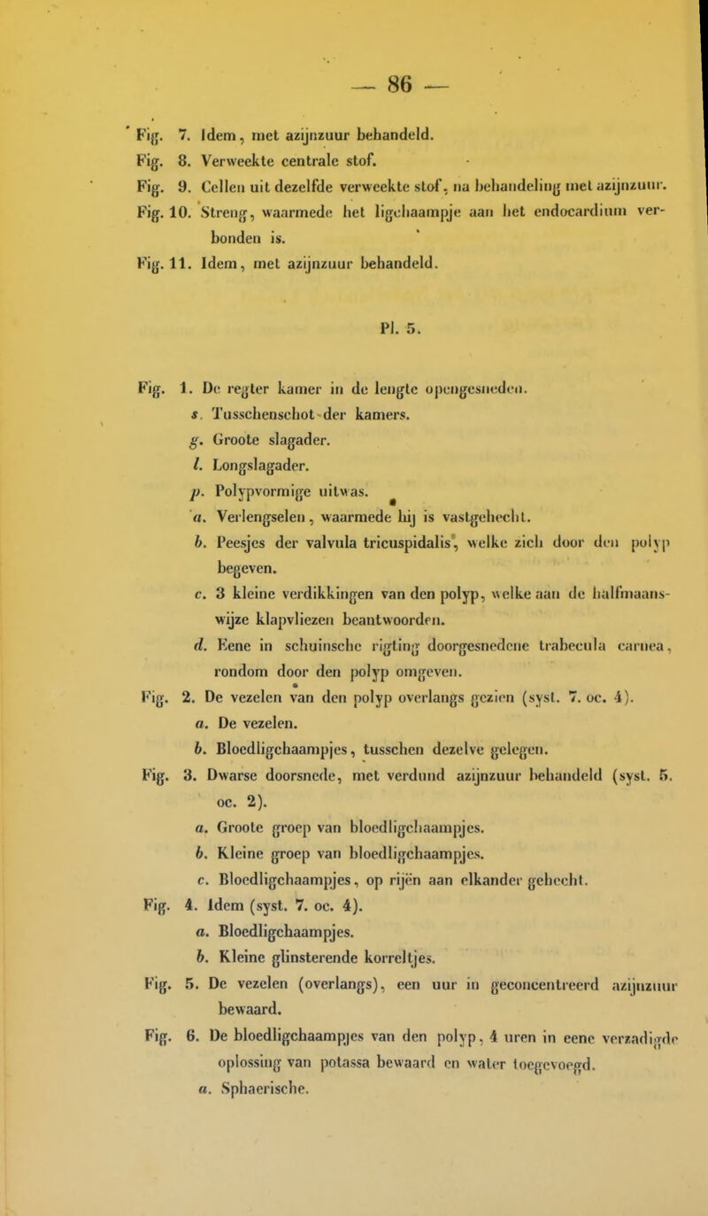 ' Fi{;. 7. idem, met azijnzuur behandeld. Fig. 8. Verweekte centrale stof. Fig. 9. Cellen uit dezelfde verweekte stof, na behandeling luel azijnzuur. Fig. 10. Streng, waarmede het ligcliaampje aan het endocardiuni ver- bonden is. Fig. 11. Idem, met azijnzuur behandeld. PI. 5. Fig. 1. De regler kamer in de lengte opengesneden. s. Tusschenschot der kamers. Groote slagader. 1. Longslagader. p. Polypvormige uitwas. ^ O. Verlengselen, waarmede hij is vastgehecht. b. Peesjes der valvula tricuspidalis, welke zich door dni polyp begeven. c. 3 kleine verdikkingen van den polyp, welke aan de halfmaans- wijze klapvliezen beantwoorden. d. Eene in schuinsche rigting doorgesnedcne trabecula carnea, rondom door den polyp omgeven. Fig. 2. De vezelen van den polyp overlangs gezien (sysl. 7. oc. 4). a. De vezelen. 6. Bloedligchaampjes, tusschen dezelve gelegen. Fig. 3. Dwarse doorsnede, met verdund azijnzuur behandeld (syst. 5. oc. 2). a. Groote groep van bloedligchaampjes. 6. Kleine groep van bloedligchaampjes. c. Bloedligchaampjes, op rijën aan elkander gehecht. Fig. 4. Idem (syst. 7. oc. 4). O. Bloedligchaampjes. b. Kleine glinsterende korreltjes. Fig. 5. De vezelen (overlangs), een uur in geconcentreerd a/i)iizuur bewaard. Fig. 6. üe bloedligchaampjes van den polyp, 4 uren in eene verzadigde oplossing van potassa bewaard en water toegevoegd. a. Sphaerische.