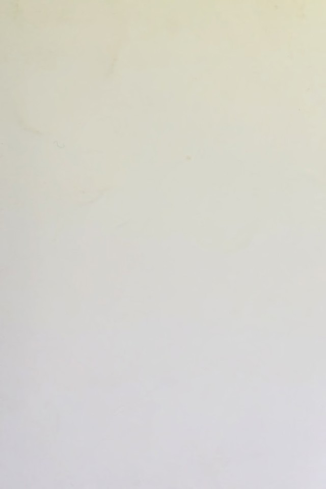 digitised image 1