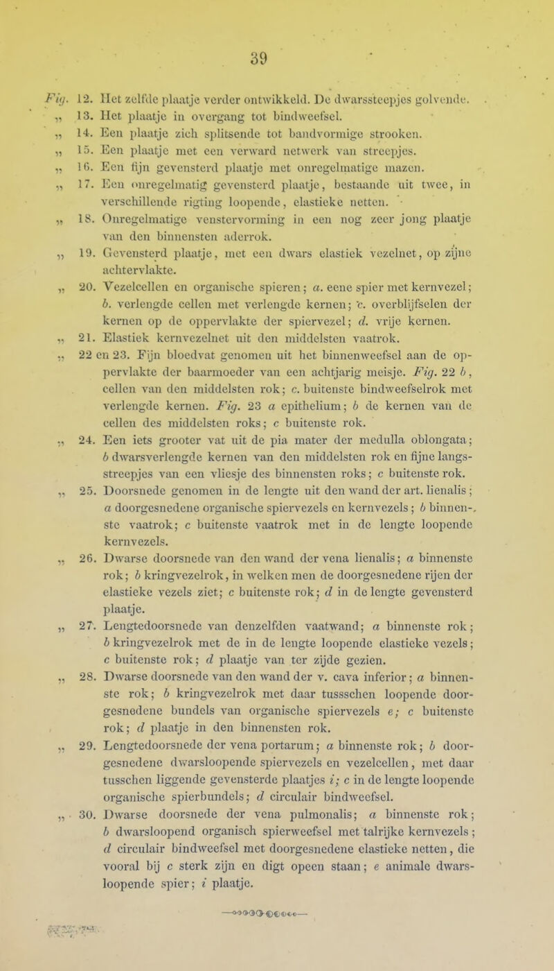 12. Het zelfde plaatje verder ontwikkeld. De dwarssteepjes golvi-iitU'. 13. liet plaatje in overgang tot biudvveet'scl. 14. Een plaatje zich splitsende tot bandvormige strooken. 15. Een plaatje niet een verward netwerk van streepjes. 16. Een fijn gevensterd plaatje met onregelmatige mazen. 17. Een onregelmatig gevensterd plaatje, bestaande uit twee, in verschillende rigting loopendc, elastieke netten. 18. Onregelmatige venstervorming in een nog zeer jong plaatje van den binnensten aderrok. 19. Gevensterd plaatje, met een dwars elastiek vezelnet, op zijne achtervlaktc. 20. Vezelcellen en organische spieren; a. ecne spier met kernvczel; b. verlengde cellen met verlengde kernen; 'c. overblijfselen der kernen op de oppervlakte der spiervezel; d. vrije kernen. 21. Elastiek kernvczelnet uit den middelsten vaatrok. 22 en 23. Fijn bloedvat genomen uit het binnenweefsel aan de oji- pervlakte der baarmoeder van een achtjarig meisje. Füj. 22 h, cellen van den middelsten rok; c. buitenste bindweefselrok met verlengde kernen. Fig. 23 a epithelium; b de kernen van de cellen des middelsten roks; c buitenste rok. 24. Een iets grooter vat uit de pia mater der medulla oblongata; 6 dwarsverlengde kernen van den middelsten rok en fijne langs- streepjes van een vliesje des binnensten roks; c buitenste rok. 25. Doorsnede genomen in de lengte uit den wand der art. lienalis ; a doorgesnedene organische spiervezels en kernvezels; h binnen-, ste vaatrok; c buitenste vaatrok met in de lengte loopcnde kernv ezels. 26. Dwarse doorsnede van den wand der vena lienalis; a binnenste rok; b kringvezclrok, in welken men de doorgesnedene rijen der elastieke vezels ziet; c buitenste rok; d in delengte gevensterd plaatje. 2T. Lengtedoorsnede van denzelfden vaatwand; a binnenste rok; 6 kringvezclrok met de in de lengte loopende elastieke vezels; c buitenste rok; d plaatje van ter zijde gezien. 28. Dwarse doorsnede van den wand der v. cava inferior; a binnen- ste rok; b kringvezclrok met daar tussschen loopende door- gesnedene bundels van organische spiervezels e; c buitenste rok; d plaatje in den binnensten rok. 29. Lengtedoorsnede der vena portarum; a binnenste rok; b door- gesnedene dwarsloopende spiervezels en vezelcellen, met daar tusschen liggende gevensterde plaatjes t; c in de lengte loopende organische spierbundels; d circulair bindweefsel. 30. Dwarse doorsnede der vena pulmonalis; a binnenste rok; b dwarsloopend organisch spierweefsel met talrijke kemvezels ; (/ circulair bindweefsel met doorgesnedene elastieke netten, die vooral bij c sterk zijn en digt opeen staan; e animale dwars- loopende spier; i plaatje. 1 /rt..