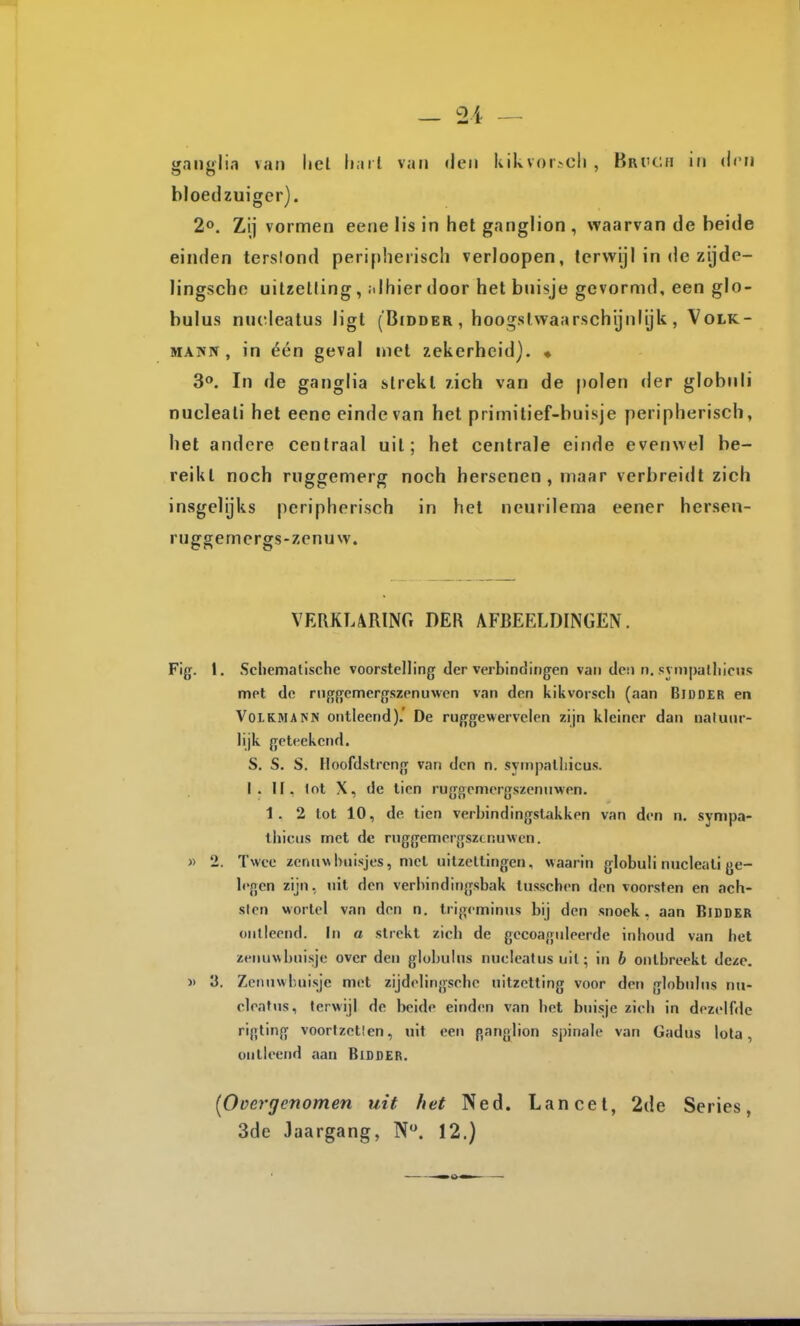 ganglia van liel Imi l v.u» «leii kikvorscli , Brtch iti den bloedzuiger). 2°. Zij vormen eene lis in het ganglion , waarvan de beide einden terslond peripheriscli verloopen, terwijl in de zijde- lingsche uitzetting, ;ilhierdoor het buisje gevormd, een glo- bulus nucleatus ligt (Bidder , hoogstwaarschijnlijk , Volk- MANX, in één geval met zekerheid). « 3«. In de ganglia strekt 7.ich van de polen der globnii nucleati het eene einde van het primitief-buisje peripherisch, het andere centraal uil; het centrale einde evenwel be- reikt noch ruggemerg noch hersenen, maar verbreidt zich insgelijks peripherisch in hel neurilema eener hersen- ruggemcrgs-zcnuw. VERKLARING DER AFBEELDINGEN. Fig-. 1. Scliematische voorstelling der verbindingen van deij n. synipatliiciis met do rnggemcrgszenuwcn van den kikvorscli (aan Bidder en VoLKMANJS ontleend).' De rujrgewervclen zijn kleiner dan naluur- lijk geteekend. S. S. S. Hoofdstreng van den n. sympatliicus. I. II. lot X, de tien ruggemergszenuwen. 1. 2 lot 10, de tien verhindingstakken van den n. sympa- tliicus met de rnggemergszcnuwen. « 2. Twee zenuw huisjes, met uilzettingen, waarin globuli nucleati ge- legen zijn, uit den verhindingsbak tusschen den voorsten en ach- slen wortel van den n. trigcminns bij den snoek, aan Bidder ontleend. In a strekt zich de gecoaguleerde inhoud van het zenuw buisje over den globulus nucIeaUis uil; in b ontbreekt deze. » 3. Zenuwbuisje met zijdelingschc uitzetting voor den globidus nn- clealus, terwijl de beide einden van het buisje zich in dezelfde rigling voortzetïcn, uit een ganglion spinale van Gadus lota, ontleend aan BiDDEB. {Ooergcnomen uit het Ned. Lancet, 2de Series, 3de Jaargang, N. 12.)