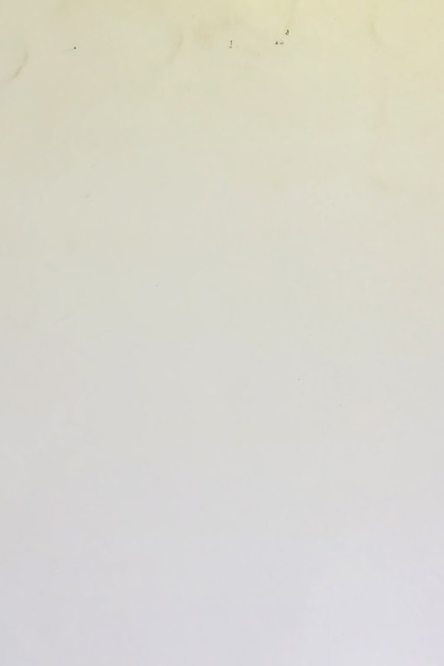 digitised image 1