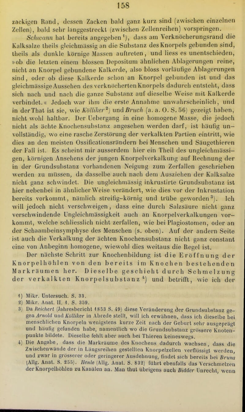 zackigen Rand, dessen Zacken bald ganz kurz sind (zwischen einzelnen Zellen), bald sehr langgestreckt (zwischen Zcllenreihen) vorspringen. Schivann hat bereits angegeben*), dass am Verknöcherungsrand die Kalksalze Iheiis gleichmässig an die Substanz des Knorpels gebunden sind, Iheils als dunkle körnige Massen auftreten, und Hess es unentschieden, »ob die letzten einem blossen Depositum ähnlichen Ablagerungen reine, nicht an Knorpel gebundene Kalkerde, also bloss vorläufige Ablagerungen sind, oder ob diese Kalkerde schon an Knorpel gebunden ist und das gleichmässige Aussehen des verknöcherten Knorpels dadurch entsteht, dass sich nach und nach die ganze Substanz auf dieselbe Weise mit Kaikerde verbindet.« Jedoch war ihm die erste Annahme unwahrscheinlich, und in derThat ist sie, wie KölUker'^) undßruch (a. a. 0. S.56) gezeigt haben, nicht wohl haltbar. Der Uebergang in eine homogene Masse, die jedoch nicht als ächte Knochensubstanz angesehen werden darf, ist häufig un- vollständig, wo eine rasche Zerstörung der verkalkten Partien eintritt, wie dies an den meisten Ossificationsrändern bei Menschen und Säugethieren der Fall ist. Es scheint mir ausserdem hier ein Theil des ungleichmässi- gen, körnigen Ansehens der jungen Knorpelverkalkung auf Rechnung der in der Grundsubstanz vorhandenen Neigung zum Zerfallen geschrieben werden zu müssen, da dasselbe auch nach dem Ausziehen der Kalksalze nicht ganz schwindet. Die ungleichmässig inkrustirte Grundsubstanz ist hier nebenbei in ähnlicher Weise verändert, wie dies vor der Inkrustation bereits vorkommt, nämlich streifig-körnig und trübe geworden^). Ich will jedoch nicht verschweigen , dass eine durch Salzsäure nicht ganz verschwindende Ungleichmässigkeit auch an Knorpelverkalkungen vor- kommt, welche schliesslich nicht zerfallen, wie bei Plagiostomen, oder an der Schaambeinsymphyse des Menschen (s. oben). Auf der andern Seite ist auch die Verkalkung der ächten Knochensubstanz nicht ganz constant eine von Anbeginn homogene, wiewohl dies weitaus die Regel ist. Der nächste Schritt zur Knochenbildung ist die Eröffnung der Knorpel höhlen von den Ijereits im Knochen bestehenden Markräumen her. Dieselbe geschieht durch Schmelzung der verkalkten Knorpelsubstanz '*) und betrifft, wie ich der 1) Mikr. Untersuch. S. 33. 2) Mikr. Anat. II. 1. S. 359. 3) Da Reichert (Jahresbericht 1 853 S. 49) diese Veränderung der Grundsubstanz ge- gen ^rnoW nndKölliker in Abrede stellt, will ich erwähnen, dass ich dieselbe bei menschlichen Knorpeln wenigstens kurze Zeit nach der Geburt sehr ausgeprägt und häufig gefunden habe, namentlich wo die Grundsubstanz grössere Knoten- punkte bildete. Dieselbe fehlt aber auch bei Thieren keineswegs. 4) Die Angabe, dass die Markräume des Knochens dadurch wachsen, dass die Zwischenwände der in Längsreihen geslelllen Knorpelzellen verflüssigt werden, und zwar in grösserer oder geringerer Ausdehnung, findet sich bereits bei Bruns (Allg. Anat. S. 255). Henle (Allg. Anat. S. 832) führt ebenfalls das Verschmelzen der Knorpelhöhlcn zu Kanälen an. Man thul übrigens auch Bidder Unrecht, wenn