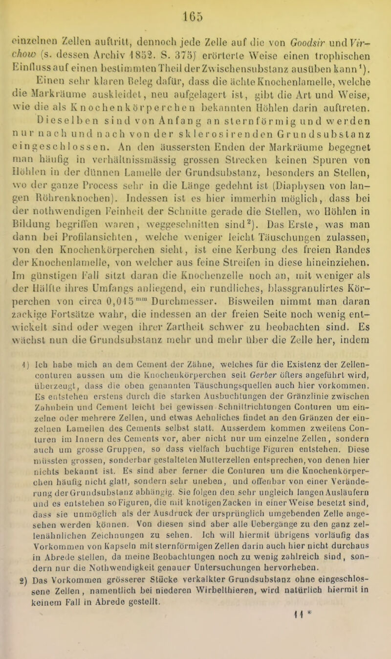 einzelnen Zellen auflrilt, dennoch jede Zelle auf die von Goodsi7' undF/r- chow (s. dessen Archiv 1852. S. 37oJ erörterle Weise einen trophischen Einllussauf einen beslimmtenTlieil derZuischensubslanz ausüben kann*). Einen sehr klaren Deleg dafür, dass die ächle Knochenlamelle, welche die Markräume auskleidet, neu aufgelagert ist, gibt die Art und Weise, wie die als K n oc he n k ö r p e rc h e n bekannten Höhlen darin auftreten. Dieselben sind von Anfang an slernfö r m ig un d werden nur nach und nach von d e i* s k 1 e r o s i i' e n d o n G r u n d s u b s t a n z eingeschlossen. An den äussersten Enden der Markräuine begegnet man hiiufig in verhallnissnjässig grossen Strecken keinen Spuren von IlühltMi in der dünnen Lamelle der Grundsubstanz, besonders an Stellen, wo der ganze Pi'ocess sehr in die Länge gedehnt ist (Diaphysen von lan- gen Röhrenknochen), bidessen ist es hier innnerhin möglich, dass bei der nolhwendigen l'einheit der Schnitte gerade die Stellen, wo Höhlen in Bildung begrillen wai'on , weggeschnillen sind'^). Das Erste, was man dann bei Profilansichton, welche weniger leicht Täuschungen zulassen, von den Knochcnkörperchen sieht, ist eine Kerbung des freien Randes der Knochenlanielie, von welcher aus feine Streifen in diese hineinziehen. Im günstigen Fall sitzt daran die Knochenzelle noch an, mit weniger als der Hällle ihres Umfangs anliegend, ein rundliches, blussgranulirtes Kör- perchen von circa 0,015 Durchmesser. Bisweilen nimmt man daran zackige Fortsätze w^ah«', die indessen an der freien Seile noch v^'enig ent- wickelt sind oder wegen ihrer Zartheit schwer zu beobachten sind. Es wachst nun die Grundsubslanz mehr und mehr über die Zelle her, indem -1) Ich habe mich an dem Ccment der Zühne, welches für die Existenz der Zelien- conluteii aussen um die Iviiocheni^örperchen seil Gerber öfters angeführt wird, übeizeuijt, dass die oben genannten Täuschungsquellen auch hier vorkommen. Es entstehen erstens durcli die starken Ausbuchtungen der Gränzlinie zwischen Zahnbein und Cenient leidit bei gewissen Schniltrichtungen Conturen um ein- zelne oder mehrere Zellen, und etwas Aehniiches findet an den Gränzen der ein- zelnen Lamellen des Cements selbst statt. Ausserdem kommen zweitens Con- turen im Innern des Cements vor, aber nicht nur um einzelne Zellen, sondern auch um grosse Gruppen, so dass vielfach buchtige Figuren entstehen. Diese iniisslen grossen, sonderbar gestalteten AMutterzellen entsprechen, von denen liier nichts bekannt ist. Es sind aber ferner die Conturen um die Knochcnkörper- chen häufig niclit glatt, sondern sehr uneben, und offenbor von einer Verände- rung der Grundsubstanz abhängig. Sie folgen den sehr ungleich langen Ausläufern und es entstehen so Figuren, die mit knotigen Zacken in einer Weise besetzt sind, dass sie unmöglich als der Ausdruck der ursprünglich umgebenden Zelle ange- sehen werden können. Von diesen sind aber alle ücbergange zu den ganz zel- lenähnlichen Zeichnungen zu sehen. Ich will hiermit übrigens vorläufig das Vorkommen von Kapseln mit sternförmigen Zellen darin auch hier nicht durchaus in Abrede stellen, da meine Beobachtungen noch zu wenig zahlreich sind, son- dern nur die Nolhwendigkeit genauer Untersuchungen hervorheben. 2) Das Vorkommen grösserer Stücke verkalkter Grundsubstanz ohne eingeschlos- sene Zellen , namentlich bei niederen Wirbellhieren, wird natürlich hiermit in keinem Fall in Abrede gestellt. H *