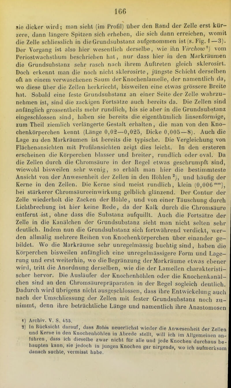 1G6 sio dicker wird; man sieht (im Profil) Uber den Rand der Zelle erst kür- zere, dann liinsere Spitzen sich eriicbcn, die sich dann erreichen, womit die Zelle schliesslich in die Grundsubstanz aufgenommen ist (s. Fig. 1—3). Der Vorgang ist also hier wesentlich derselbe, wie ihn Virchow^) vom Perioslwachslhum beschrieben hat, nur dass hier in den Markräumen die Grundsubslanz sehr rasch nach ihrem Auftreten gleich sklerosirt. Doch erkennt man die noch nicht sklerosirte, jüngste Schicht derselben oft an einem verwaschenen Saum der Knochenlamelle, der namentlich da, wo diese über die Zellen herkriecht, bisweilen eine etwas grössere Breite hat. Sobald eine feste Grundsubstanz an einer Seite der Zelle wahrzu- nehmen ist, sind die zackigen Fortsatze auch bereits da. Die Zellen sind anfanglich grossentheils mehr rundlich, bis sie aber in die Grundsubstanz eingeschlossen sind, haljen sie bereits die eigenthlimlich linsenförmige, zum Theil ziemlich verlängerte Gestalt erhallen, die man von den Kno- chenkörperchen kennt (Länge 0,02—0,025, Dicke 0,005—8). Auch die Lage zu den Markräumen ist bereits die typische. Die Vergleichung von Flachenansichten mit Profilansichten zeigt dies leicht. In den ersteren erscheinen die Kör-perchen blasser und breiter, rundlich oder oval. Da die Zellen durch die Chromsäure in der Regel etwas geschrumpft sind, wiewohl bisweilen sehr wenig, so erhält man hier die bestimmteste Ansicht von der Anwesenheit der Zellen in den Höhlen^), und häufig der Kerne in den Zellen. Die Kerne sind meist rundlich, klein (0,006), bei stärkerer Chromsäureeinwirkung gelblich glänzend. Der Contur der Zelle wiederholt die Zacken der Höhle, und von einer Täuschung durch Lichtbrechung ist hier keine Rede, da der Kalk durch die Chromsäure entfernt ist, ohne dass die Substanz aufquillt. Auch die Fortsätze der Zelle in die Kanälchen der Grundsubslanz sieht man nicht selten sehr deutlich. Indem nun die Grundsubslanz sich fortwährend verdickt, wer- den allmälig mehrere Reihen von Knochenkörperchen Uber einander ge- bildet. Wo die Markräume sehr unregelmässig buchtig sind, haben die Körperchen bisweilen anfänglich eine unregelmässigere Form und Lage- rung und erst weiterhin, wo die Begränzung derMarkräume etwas ebener wird, tritt die Anordnung derselben, wie die der Lamellen charakteristi- scher hervor. Die Ausläufer der Knochenhöhlen oder die Knochenkanäl- chen sind an den Chromsäurepräparaten in der Regel sogleich deutlich, Dadurch wird Übrigens nicht ausgeschlossen, dass ihre Enlwickelung auch nach der Umschliessung der Zellen mit fesler Grundsubslanz noch zu- nimmt, denn ihre beträchtliche Länge und namentlich ihre Anastomosen h) Archiv. V. S. 455. 2) In Rücksicht darauf, dass 7?o6m neuerlichst wieder die Anwesenheit der Zellea und Kerne in den Knochenhöhlen in Ahrede stellt, will ich im Allgemeinen an- führen, dass ich dieselbe zwar nicht für alle und jede Knochen durchaus be- haupten kann, sie jedoch i» jungen Knochen gar nirgends, wo ich aufmerksam danach suchte, vcrmisst habe.