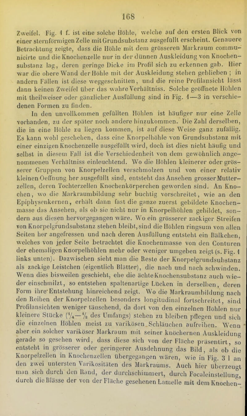 Zweifel. Fig. 1 f. ist eine solche Höhle, welche auf den ersten Blick von einer sternförmigen Zelle mitGrundsubstanz ausgefüllt erscheint. Genauere Betrachtung zeigte, dass die Höhle mit dem grösseren Markraum commu- nicirle und die Knochenzelle nur in der dünnen Auskleidung von Knochen- substanz lag, deren geringe Dicke im Profil sich zu erkennen gab. Hier war die obere Wand der Höhle mit der Auskleidung stehen geblieben ; in andern Füllen ist diese weggeschnitten, und die reine Profilansicht lassl dann keinen Zweifel über das wahre Verhidtniss. Solche geöfinete Höhlen mit theilweiser oder gänzlicher Ausfüllung sind in Fig. 1—3 in verschie- denen Formen zu finden. In den unvollkommen gefüllten Höhlen ist häufiger nur eine Zelle vorhanden, zu der später noch andere hinzukommen. Die Zahl derselben, die in eine Höhle zu liegen kommen, ist auf diese Weise ganz zufällig. Es kann wohl geschehen, dass eine Knorpelhöhle von Grundsubslanz mit einer einzigen Knochenzelle ausgefüllt wird, doch ist dies nicht häufig und selbst in diesem Fall ist die Verschiedenheit von dem gewöhnlich ange- nommenen Verhältniss einleuchtend. Wo die Höhlen kleinerer oder grös- serer Gruppen von Knorpelzellen verschmolzen und von einer relativ kleinen Oeffnung her ausgefüllt sind, entsteht das Ansehen grosser Mutler- zellen, deren Tochlerzellen Knochenkörperchen geworden sind. An Kno- chen, wo die Markraumbildung sehr buchtig vorschreitet, v^'ie an den Epiphysonkernen, erhält dann fast die ganze zuerst gebildete Knochen- masse d^is Ansehen, als ob sie nicht nur in Ivnorpelhöhlen gebildet, son- dern aus diesen hervorgegangen wäre. Wo ein grösserer zackiger Streifen von Knorpelgrundsubstanz stehen bleibt,sind die Höhlen ringsum von allen Seiten her angefressen und nach deren Ausfüllung entsteht ein Bälkchen. welches von jeder Seile betrachtet die Knochenmasse von den Conluren der ehemaligen Knorpelhöhlen mehr oder wenic^er umeieben zeial (s. Fi. 1 links unten). Dazwischen sieht man die Reste der Knorpelgrundsubstanz als zackige Leistchen (eigentlich Blätter), die nach und nach schwinden. Wenn dies bisweilen geschieht, ehe die ächte Knochensubstanz auch wie- der einschmilzt, so entstehen spallenarlige Lücken in derselben, deren Form ihre-Entstehung hinreichend zeigt. Wo die Markraumbildung nach den Reihen der Knorpelzeilen besonders longiludinal forlschreilct, sind Profilansichten weniger täuschend, da dort von den einzelnen Höhlen nur kleinere Stücke {%—% des Umfangs) stehen zu bleiben pflegen und sich die einzelnen Höhlen meist zu varikösen Schläuchen aufreihen. Wenn aber ein solcher variköser Markraum mit seiner knöchernen Auskleidun*' gerade so gesehen wird, dass diese sich von der Fläche präsentirt, so entsteht in grösserer oder geringerer Ausdehnung das Bild, als ob die Knorpelzellen in Knochenzellen übergegiingen wären, wie in Fi. 3 1 an den zwei untersten Viirikosiläten des Markraums. Auch hier Uberzeugt man sich durch den Bend, der durchschimmert, durch Focaleinsl«lluna, durch die Blässe der von der Fläche gesehenen Lamelle mit dem Knochen-