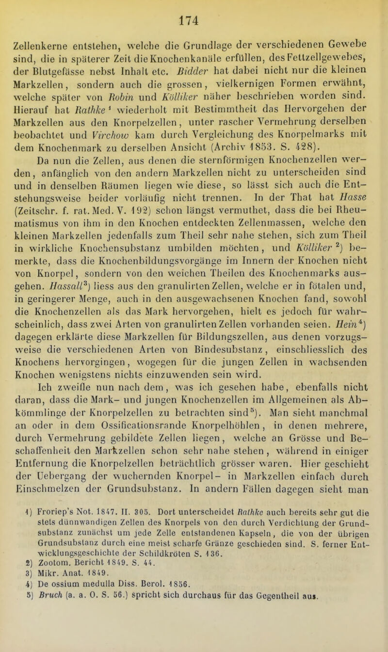 Zellenkerne entstehen, welche die Grundlage der verschiedenen Gewebe sind, die in spaterer Zeit die Knochenkanäle erfüllen, des Fettzellgewebes, der Blutgefässe nebst Inhalt etc. Bidder hat dabei nicht nur die kleinen Markzellen, sondern auch die grossen, vielkernigen Formen erwähnt, welche später von Rohin und Kölliker näher beschrieben worden sind. Hierauf hat Ralhke ^ wiederholt mit Bestimmtheit das Hervorgehen der Markzellen aus den Knorpelzellen, unter rascher Vermehrung derselben beobachtet und Virchow kam durch Vergleichung des Knorpelmarks mit dem Knochenmark zu derselben Ansicht (Archiv 1853. S. 428). Da nun die Zellen, aus denen die sternförmigen Knochenzellen wer- den, anfänglich von den andern Markzellen nicht zu unterscheiden sind und in denselben Räumen liegen wie diese, so lässt sich auch die Ent- stehungsweise beider vorläufig nicht trennen. In der That hat Hasse (Zeitschr. f. rat. Med. V. 192) schon längst vermulhet, dass die bei Rheu- matismus von ihm in den Knochen entdeckten Zellenmasscn, welche den kleinen Markzellen jedenfalls zum Theil sehr nahe stehen, sich zum Theil in wirkliche Knochensubstanz umbilden möchten, und Kölliker ^) be- merkte, dass die Knochenbildungsvorgänge im Innern der Knochen nicht von Knorpel, sondern von den weichen Theilen des Knochenmarks aus- gehen. Hassall^) liess aus den granulirlen Zellen, welche er in fötalen und, in geringerer Menge, auch in den ausgewachsenen Knochen fand, sowohl die Knochenzellen als das Mark hervorgehen, hielt es jedoch für wahr- scheinlich, dass zwei Arten von granulirlen Zellen vorhanden seien. Hein^) dagegen erklärte diese Markzellen für Bildungszellen, aus denen vorzugs- weise die verschiedenen Arten von Bindesubslanz , einschliesslich des Knochens hervorgingen, wogegen für die jungen Zellen in v^^achsenden Knochen wenigstens nichts einzuwenden sein wird. Ich zweifle nun nach dem, was ich gesehen habe, ebenfalls nicht daran, dass die Mark- und jungen Knoohenzellen im Allgemeinen als Ab- kömmlinge der Knorpelzellen zu betrachten sind''^). Man sieht manchmal an oder in dem Ossificationsrnnde Knorpelhöhlen , in denen mehrere, durch Vermehiung gebildete Zellen liegen, welche an Grösse und Be- schaffenheit den Markzellen schon sehr nahe stehen , während in einiger Entfernung die Knorpelzellen beträchtlich grösser waren. Hier geschieht der üebergang der wuchernden Knorpel- in Markzellen einfach durch Einschmelzen der Grundsubstanz. In andern Fällen dagegen sieht man \) Froriep's Not. 1847. II. 303. Dort unterscheidet Mlhkc auch bereits sehr gut die stets dünnwandigen Zellen des Knorpels von den durch Verdichtung der Grund- subslanz zunächst um jede Zelle entstandenen Kapseln, die von der übrigen Grundsubstanz durch eine meist scharfe Gränze geschieden sind. S. ferner Ent- wicklungsgeschichte der Schildkröten S. 136. 2) Zootora. Bericht 1 849. S. 44. 3) Mikr. Anat. 1 849. 4) De ossium meduila Diss. Berol. 1836. 5) Bruch (a. a. 0. S. 36.) spricht sich durchaus für das Gegentheil aus.