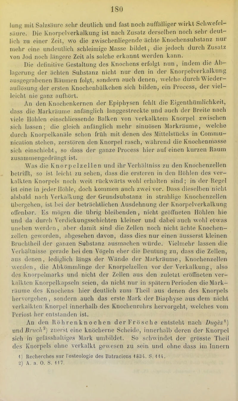 lunij; mit Salzsäure sehr deutlich und fast noch auffälliger wirkt Schwefel- säure. Die Knorpelverkalkung ist nach Zusatz derselben noch sehr deut- lich zu einer Zeit, wo die zwischenliegende ächte Knochensubstanz nur mehr eine undeutlich schleimige Masse bildet, die jedoch durch Zusatz von Jod noch längere Zeit als solche erkannt werden kann. Die dcfinilive Gestaltung des Knochens erfolgt nun , indem die Ab- lagerung der ächten Substanz nicht nur den in der Knorpelverkalkung ausgegrabenen Räumen folgt, sondern auch denen, welche durch Wieder- auliösung der ersten Knochenbälkchen sich bilden, ein Process, der viel- leicht nie ganz aufhört. An den Knochenkernen der Epiphysen fehlt die Eigenthl'imlichkeit, dass die Markräume anfänglich langgestreckte und auch der Breite nach viele Hohlen einschliessende Balken von verkalktem Knorpel zwischen sich lassen; die gleich anfänglich mehr sinuösen Markräume, welche durch Knorpelkanäle schon früh mit denen des Miltelstücks in Cornmu- nicalion stehen, zerstören den Knorpel rasch, während die Knochenmasse sich einschiebt, so dass der ganze Process hier auf einen kurzen Raum zusammengedrängt ist. Was die Knorpelzeilen und ihr Yerhältniss zu den Knochenzellen bclriflTt, so ist leicht zu sehen, dass die erslcren in den Höhlen des ver- kalkten Knorpels noch weit rückwärts wohl erhallen sind; in der Regel ist eine in jeder Höhle, doch kommen auch zwei vor. Dass dieselben nicht alsljald nach Verkalkung der Grundsubstanz in strahlige Knochenzellen Ubergehen, ist bei der beträchtlichen Ausdehnung der Knorpelverkalkung offenbar. Es mögen die übrig bleibenden, nicht geöffneten Höhlen hie und da durch Verdickungsschichten kleiner und dabei auch wohl etwas uneben werden , aber damit sind die Zellen noch nicht ächte Knochen- zollen geworden, abgesehen davon, dass dies nur einen äusserst kleinen Bruchlheil der ganzen Substanz ausmachen würde. Vielmehr lassen die Veihällnisse gerade bei den Vögeln eher die Deutung zu, dass die Zellen, aus denen, lediglich längs der V^^ände der iMaikräume, Knochenzellen werden, die Abkömmlinge der Knorpelzellen vor der Verkalkung, also des Knorpelmarks und nicht der Zellen aus den zuletzt eröffneten ver- kalkten Knorpelkapseln seien, da nicht nur in spätem Perioden die Mark- räume des lüiochens hier deutlich zum Theil aus denen des Knorpels hervorgehen , sondern auch das erste Mark der Diaphyse aus dem nicht verkalkten Knorpel innerhalb des Knochenrohrs hervorgeht, welches vom Periost her entstanden ist. An den Röhrenknochen der Frösche entsteht nach Dugds^) \md Bntch^) zuerst eine knöcherne Scheide, innerhalb deren der Knorpel sich in gefässhalliges Mark umbildet. So schwindet der grösste Theil des Knorpels ohne verkalkt gewesen zu sein und ohne dass im Innern 1) Recherches sur l'osleologie des Batraciens 1834. S. M't.