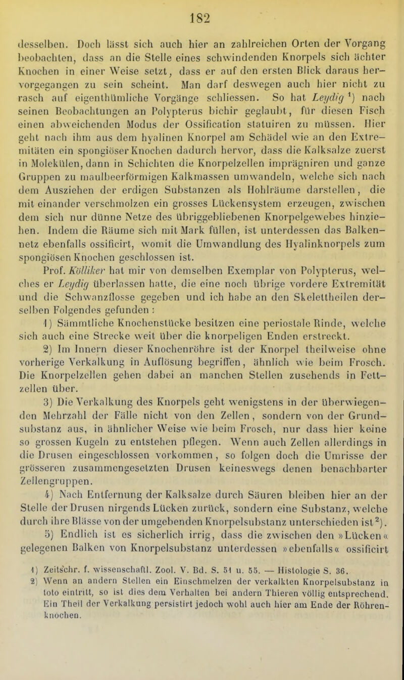 desselben. Docli lüsst sich auch hier an zahlreichen Orlen der Vorgang l)eobachlen, dass an die Stelle eines schwindenden Knorpels sich achter Knochen in einer Weise setzt, dass er auf den ersten Blick daraus her- vorgegangen zu sein scheint. Man darf deswegen auch hier nicht zu rasch auf eigenlhiimliche Vorgänge schliessen. So hat Lej/dig ^) nach seinen Beobachtungen an Polypterus bichir geglaubt, für diesen Fisch einen abweichenden Modus der Ossification slatuiren zu müssen. Hier geht nat'h ihm aus dem hyalinen Knorpel am Schädel wie an den Extre- mitäten ein spongiöser Knochen dadurch hervor, dass die Kalksalze zuerst in Molekülen, dann in Schichten die Knorpelzellen imprägniren und ganze Gruppen zu maulbeerförmigen Kalkmassen umwandeln, welche sich nach dem Ausziehen der erdigen Substanzen als Hohlräume darstellen , die miteinander verschmolzen ein grosses Lückensystem erzeugen, zwischen dem sich nur dünne Netze des Ubriggel)liebenen Knorpelgewebes hinzie- hen. Indem die Räume sich mit Mark füllen, ist unterdessen das Balken- netz ebenfalls ossificirt, womit die Umwandlung des Ilyalinknorpels zum spongiösen Knochen geschlossen ist. Prof. Kölliker hat mir von demselben Exemplar von Polypterus, wel- clies er Leydig überlassen hatte, die eine noch übrige vordere Extremität und die Schwanzflosse gegeben und ich habe an den Skelettheilen der- selben Folgendes gefunden : 1) Sämmtliche Knochenslücke besitzen eine periostale Rinde, welche sich auch eine Strecke weil Uber die knorpeligen Enden erstreckt. 2) Im Innern dieser Knochenröhre ist der Knorpel theilweise ohne vorherige Verkalkung in Auflösung begriffen, ähnlich beim Frosch. Die Knorpelzellen gehen dabei an manchen Stellen zusehends in Felt- zellen über. 3) Die Verkalkung des Knorpels geht wenigstens in der Uberwiegen- den Mehrzahl der Fälle nicht von den Zellen , sondern von der Grund- substanz aus, in ähnlicher Weise wie beim Frosch, nur dass hier keine so grossen Kugeln zu entstehen pflegen. Wenn auch Zellen allerdings in die Drusen eingeschlossen vorkommen , so folgen doch die Umrisse der grösseren zusammengesetzten Drusen keineswegs denen benachbarter Zellengruppen. 4) Nach Entfernung der Kalksalze durch Säuren bleiben hier an der Stelle der Drusen nirgends Lücken zurück, sondern eine Substanz, welche durch ihre Blässe von der umgebenden Knorpelsubslanz unterschieden ist^). 5) Endlich ist es sicherlich irrig, dass die zwischen den »Lücken« gelegenen Balken von Knorpelsubstanz unterdessen »ebenfalls« ossificirt 1) Zeitsehr. f. wisseoschafll. Zool. V. Bd. S. 51 u. 55. — Histologie S. 36. 2) Wenn an andern Stellen ein Einschmelzen der verkalkten Knorpelsubstanz in loto eintritt, so ist dies dem Verhalten bei andern Thieren völlig entsprechend. Ein Theil der Verkalkung persistirt jedoch wohl auch hier am Ende der Röhren- knochen.