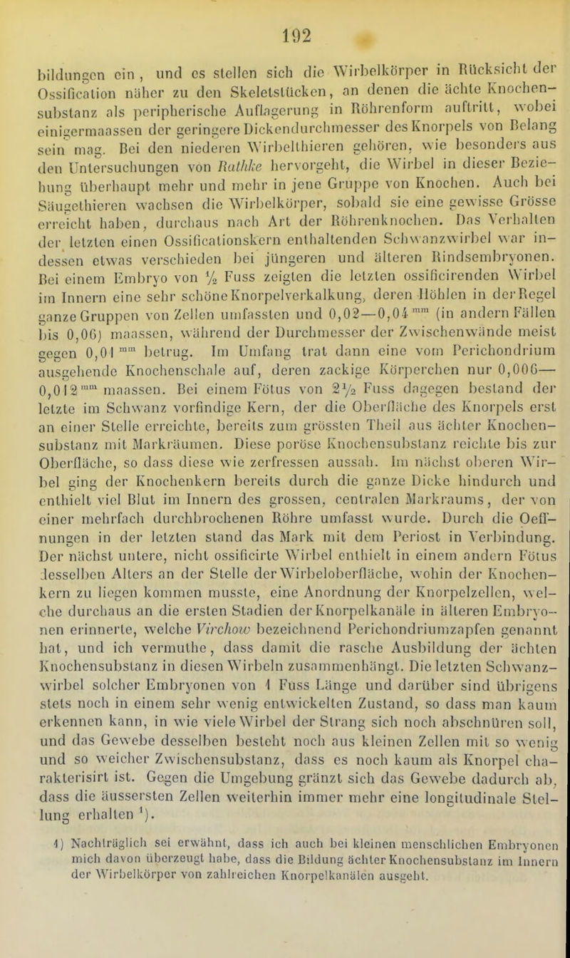 bildun.qon ein , und es stellen sich die Wirbelkörper in RllcksiclU der Ossifjcalion näher zu den Skelelslückcn, an denen die ächte Knochen- substanz als peripherische Auflageruni^ in Röhrenforin auftritt, wobei eini^ermaassen der gerint^ere Dickendurchmesser des Knorpels von Belang sein mag. Bei den niederen Wirbelthieren gehören, wie besondersaus den Untersuchungen von Rathke hervorgeht, die Wirbel in dieser Bezie- hung überhaupt mehr und mehr in jene Gruppe von Knochen. Auch bei Säugelhieren wachsen die Wirbelkörper, sol)ald sie eine gewisse Grösse erreicht haben, durchaus nnch Art der Röhrenknochen. Das Verhallen der letzten einen Ossificationskern enthaltenden Sclnvanzwirbel war in- dessen etwas verschieden bei jüngeren und älteren Rindsembryonen. Bei einem Embryo von % Fuss zeigten die letzten ossificirenden Wirbel im binern eine sehr schöne Knorpelverkalkung, deren Höhlen in derRegel ganze Gruppen von Zellen umfassten und 0,02 — 0,04'' (in andern Fällen l)is 0,06) maassen, während der Durchmesser der Zwischenwände meist gegen 0,01 betrug. Im Umfang trat dann eine vom Perichondrium ausgehende Knochenschale auf, deren zackige Körperchen nur 0,00G— 0,012'' maassen. Bei einem Fötus von 2^2 Fuss dagegen bestand der letzte im Schwanz vorfindige Kern, der die Obernäche des Knorpels erst an einer Stelle erreichte, bereits zum grössten Theil aus ächter Knochen- substanz mit Markräumen. Diese poröse Knochensubslanz reichte bis zur Oberfläche, so dass diese wie zerfressen aussah. Im nächst oberen Wir- bel ging der Knochenkern bereits durch die ganze Dicke hindurch und enthielt viel Blut im binern des grossen, centralen Markraums, der von einer mehrfach durchbrochenen Röhre umfasst wurde. Durch die Oetl- nungen in der letzten stand das Mark mit dem Pei'iost in Verbindung. Der nächst untere, nicht ossificirte Wirbel enthielt in einem andern Fötus desselben Alters an der Stelle der Wirbeloberfläche, wohin der Knochen- kern zu liegen kommen musste, eine Anordnung der Knorpelzellen, wel- che durchaus an die ersten Stadien der Knorpelkanäle in älteren Embryo- nen erinnerte, welche Virdiow bezeichnend Ferichondriumzapfen genannt hat, und ich vermuthe, dass damit die rasche Ausbildung der ächten Knochensubslanz in diesen Wirbeln zusammenhängt. Die letzten Schwanz- wirbel solcher Embryonen von 1 Fuss Länge und darüber sind übrigens stets noch in einem sehr wenig entwickelten Zustand, so dass man kaum erkennen kann, in wie viele Wirbel der Strang sich noch abschnüren soll, und das Gewebe desselben besteht noch aus kleinen Zellen mit so weniu und so weicher Zwischensubstanz, dass es noch kaum als Knorpel cha- rakterisirt ist. Gegen die Umgebung gränzt sich das Gewebe dadurch ab dass die äussersten Zellen weiterhin immer mehr eine longitudinale Stel- lung erhallen '). 1) Nachlrüglich sei erwähnt, dass ich auch bei kleinen mcnsciilichcn Embryonen mich davon überzeugt ha!)e, dass die Bildung ächler Knochensubslanz im hinern der AVirbeikörpcr von zahlreichen Knorpelkanälcn ausgeht.