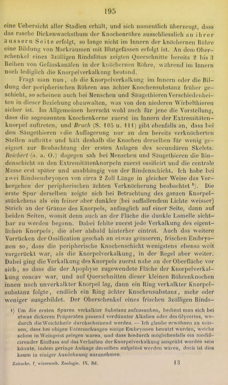 eine Uebersichl aller Stadien erhält, und sich namentlich Überzeugt, dass das rasche Dickenwaclisthum der Knochenrühre ausschliesslich an ihrer äussern Seite eifoii^t, so lange nicht im Innern der knöchernen Rohre eine Bildung von Markiäumen mit Blutgefässen ei folgt ist. An dem Ober- schenkel eines 3zülligen Rindslolus zeigten Querschnitte bereits 2 I)is 3 Reihen von Gefässkanälen in der knöchernen Rühre, während im Innern noch lediglich die Knorpelverkalkung best;ind. Fi-agl uian nun , ob die Knorpelverkalkung im Innern oder die Bil- dung der peripherischen Rühren aus ächlcr Knochensubstanz fi lilier ge- schieht, so scheinen auch bei Menschen und Säugelhieren Verschiedenhei- ten in dieser Beziehung obzuwalten, was von den niederen Wirbellhiei en sicher ist. Im Allgemeinen herrscht wohl auch für jene die Vorstellung, dass die sogenannten Knochenkerne zuerst im Innern der Extreraitäten- knorpel auftreten, und Bruch (S. 105 u. \ \\) gibt ebenfalls an, dass bei den Säugethieren »die Auflagerung nur an den bereits verknöcherten Stellen auftritt« und hält deshalb die Knochen derselben für wenia; üe- eignet zur Beobachtung der ersten Anlagen des secundären Skelets. Reichert {a. a. 0.) dagegen sah bei Menschen und Säugelhieren die Rin- denschicht an den Extremitälenknorpeln zuerst ossilicirt und die centrale Masse erst später und unabhängig von der Rindenschicht. Ich habe bei zwei Rindsembryonen von circa 2 Zoll Länge in gleicher Weise das Vor- hergehen der peripherischen ächten Verknöcherung beobachtet*]. Die erste Spur derselben zeigte sich bei Betrachtung des ganzen Knorpel- slUckchens als ein feinei* aber dunkler (bei auffallendem Lichte weisser) Strich an der Gränze des Knorpels, anfänglich auf einer Seite, dann auf beiden Seiten, womit denn auch an der Fläche die dunkle Lamelle sicht- bar zu w erden begann. Dabei fehlte zuerst jede Verkalkung des eigent- lichen Knorpels, die aber alsbald hinterher eintrat. Auch das weitere Vorrücken der Ossification geschah an etwas grösseren, frischen Embryo- nen so, dass die peripherische Knochenschicht wenigstens ebensoweit vorgerückt war, als die Knorpelverkalkung, in der Regel aber weiter. Dabei ging die Verkalkung des Knorpels zuerst nahe an der Oberfläche vor sich, so dass die der Apophyse zugewendete Fläche der Knorpelverkal- kung concav war, und auf Querschnitten dieser kleinen Röhrenknochen innen noch unverkalkler Knorpel lag, dann ein Ring verkalkter Knorpel- substanz folgte, endlich ein Ring ächler Knochensubstanz, mehr oder weniger ausgebildet. Der Oberschenkel eines frischen 3zölligen Rinds- 4) Um die ersten Spuren verkalkter Substanz aufzusuclien, bedient man sich bei etwas dickeren Präparaten passend verdünnter Alkalien oder des Glycerins, wo- durch die Weichlheilo durchscheinend werden, — Ich glaube erwiihnen zu müs- sen, dass bei obigen üntersuctiungen einige Embryonen benutzt wurden, wolclie sclion in Weingeist gelegen waren, und dass hiedurch möglichenfalls ein niodifi- cirender Einfluss auf das Verhallen der Knorpelvei kalkung ausgeübt worden sein könnte, indem geringe Anfänge deiselben aufgelöst woiden wären, docli ist dies kaum in einiger Ausdehnung anzunelimen. Zeilschr. T wissensch. Zoologie. IX. Rd. \ 3