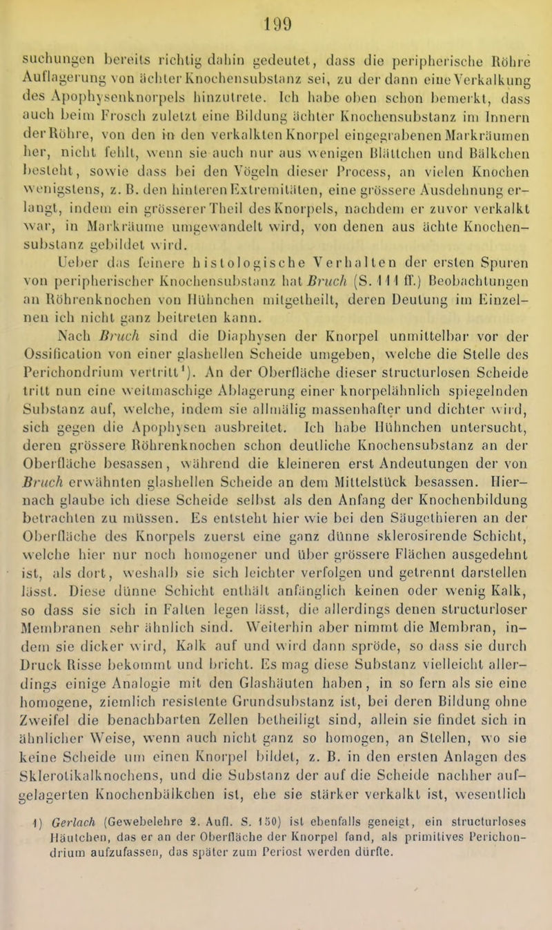 SLichungen bereits richtig dahin t^edeulet, dass die peripherische Röhre Aullngerung von üchler Knochensubstanz sei, zu der dann eine Verkalkung des Apophysenknorpels hinzutrete. Ich habe oben schon benieikt, dass auch beim Frosch zuletzt eine Bikiung ächter Knochensubstanz im Innern der Rühre, von den in den verkalkten Knorpel eingegrabenen Markräuinen her, nicht l'ehll, wenn sie auch nur aus wenigen Mliittchen und Bälkchen besteht, sowie dass bei den Vögeln dieser Process, an vielen Knochen w enigstens, z. B. den hinleren Extremitäten, eine gi'össere Ausdehnung er- langt, indem ein grösserer Theil des Knorj)eIs, nachdem er zuvoi' verkalkt war, in Mark räume unigewandell wird, von denen aus ächte Knochen- subslanz gebildet wird. lieber das feinere histologische Verhalten der ersten Spuren von peripherischer Knochensubstanz hat Bruch (S. i 11 fl.) Beobachtungen an Röhrenknochen von Hühnchen mitgetheilt, deren Deutung im Einzel- nen ich nicht iianz beitreten kann. Nach Bruch sind die Diaphysen der Knorpel unnu'ttelbar vor der Ossification von einer glashellen Scheide umgeben, welche die Stelle des Perichondrium vertritt'). An der Oberfläche dieser structurlosen Scheide tritt nun eine weitmaschige Ablagerung einer knorpelähnlich spiegelnden Substanz auf, welche, indem sie allmälig massenhafter und dichter w irti, sich gegen die Apo])liysen ausbreitet. Ich habe Hühnchen untersucht, deren grössere Röhi'enknochen schon deutliche Knochensubstanz an der Oberfläche besassen, während die kleineren erst Andeutungen der von Bruch erwähnten glashellen Scheide an dem MiltelstUck besassen. Hier- nach glaube ich diese Scheide selbst als den Anfang der Knochenbildung betrachten zu müssen. Es entsteht hier wie bei den Säugethieren an der Oberfläche des Knorpels zuerst eine ganz dünne sklerosirende Schicht, welche hier nur noch homogener und Uber grössere Flächen ausgedehnt ist, als dort, weshalb sie sich leichter verfolgen und getrennt darstellen lässt. Diese dünne Schicht enthält anfänglich keinen oder wenig Kalk, so dass sie sich in Falten legen lässt, die allerdings denen struclurloser Membranen sehr ähnlich sind. Weiterhin aber nimmt die Membran, in- dem sie dicker w ird, Kalk auf und wird dann spröde, so dass sie durch Druck Risse bekommt und bricht. Es mag diese Substanz vielleicht aller- dings einige Analogie mit den Glashäuten haben, in so fern als sie eine homogene, ziemlich resistente Grundsubstanz ist, bei deren Bildung ohne Zweifel die benachbarten Zellen betheiligt sind, allein sie findet sich in ähnlicher Weise, wenn auch nicht ganz so homogen, an Stellen, wo sie keine Scheide um einen Knorpel bildet, z. B. in den ersten Anlagen des Sklerolikalknochens, und die Substanz der auf die Scheide nachher auf- uelaaerten Knochcnbälkchen ist, ehe sie stärker verkalkt ist, wesentlich ■1) Gerlach (Gewebelehre 2. Aufl. S. 130) ist ebenfalls geneigt, ein structurloses Jläutchei), das er an der Oberfläche der Knorpel fand, als primitives l'erichon- drium aufzufassen, das später zum Periost werden dürfte.