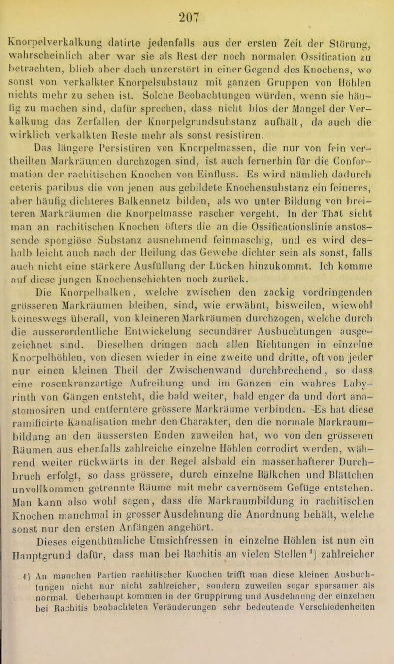 Knoipelverkalkung dalirte jedenfalls aus der ersten Zeit der Störung, waiirsclioinlich aber war sie als Rest der noch normalen Ossilicalion zu betrachten, blieb aber doch un/erstört in einer Gegend des Knochens, wo sonst von verkalkter Knorpelsubstanz mit ganzen Gruppen von Hohlen nichts mehr zu sehen ist. Solche Beobachtungen würden, wenn sie häu- lig zu machen sind, dafüi- sprechen, dass nicht blos der Mangel der Ver- kalkung das Zerfallen der Knorpelgrundsubstanz aufhält, da auch die wirklich verkalkten Reste mehr als sonst resistiren. Das längere Persisliren von Knorpelmassen, die nur von fein ver- theilten Maikräumen durchzogen sind, ist auch fernerhin fllr die Confor- mation der rachitischen Knochen von Einfluss. Es wird nämlich dadurch ceteris paribus die von jenen aus gebildete Knochensubstanz ein feineres, aber häufig dichteres Balkennelz bilden, als wo unter Bildung von brei- teren Markräumen die Knorpelmasse rascher vergeht. In der Thnt sieht man an rachitischen Knochen öfters die an die Ossificationslinie anstos- sende spongiöse Substanz ausnehmend feinmaschig, und es wird des- halb leicht auch nach der Heilung das Gewebe dichter sein als sonst, falls auch nicht eine stärkere Ausfüllung der Lücken hinzukommt. Ich komme auf diese jungen Knochenschichten noch zurück. Die Knorpelbalken, welche zwischen den zackig vordringenden grösseren Markräumen bleiben, sind, wie erwähnt, bisweilen, wiewohl keineswegs überall, von kleineren Markräumen durchzogen, welche durch die ausserordentliche Entwickelung secundärer Ausbuchtungen ausge- zeichnet sind. Dieselben dringen nach allen Richtungen in einz(>Ine Knorpelhühlen, von diesen wieder in eine zweite und dritte, oft von jeder nur einen kleinen Theil der Zwischenwand durchbrechend, so d-iss eine rosenkranzartige Aufreihung und im Ganzen ein wahres Laby- i'intli von Gängen entsteht, die bald weiter, bald enger da und dort ana- stomosiren und entferntere grössere Markräimie verbinden. -Es hat diese ramificirte Kanalisation mehr den Charakter, den die normale Markraum- bildung an den äusserslen Enden zuweilen hat, wo von den grösseren Räumen aus ebenfalls zahlreiche einzelne Höhlen corrodirt werden, wäh- rend weiter rückwärts in der Regel alsbald ein massenhafterer Durch- bruch erfolgt, so dass grössere, durch einzelne Bälkchen und Blättchen unvollkommen getrennte Räume mit mehr cavernösem GefUge entstehen. Man kann also wohl sagen, dass die iMarkraumbildung in rachitischen Knochen manchmal in grosser Ausdehnung die Anordnung behält, welche sonst nur den ersten Anfängen angehört. Dieses cigenthümliche Umsichfressen in einzelne Höhlen ist nun ein Hauptgrund dafür, dass man bei Rachitis an vielen Stellen ') zahlreicher 1) An manctien Partien racliilischer Iviioclien trifft man diese kleinen Aiisbucli- tungeii nicht nur nicht zahireiciier, sondern zuweilen sojjar sparsamer als normal. Ueberhaupt kommen in der Gruppirung und Ausdehnung der einzelnen bei Rachitis beobachteten Veränderungen sehr bedeutende Verschiedenheiten