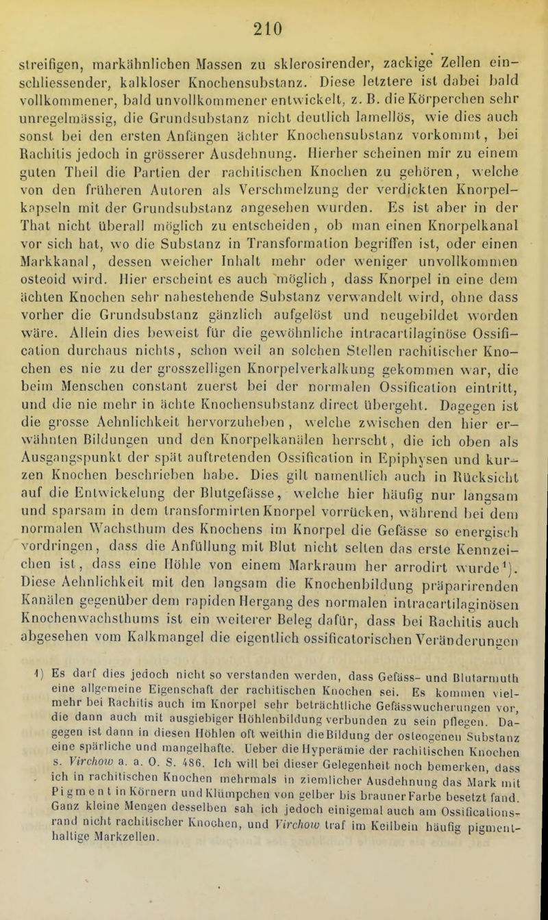 streifigen, markiihnlichen Massen zu sklerosirender, zackige Zellen ein- scliliessender, kalkloser Knocliensubslanz. Diese letzlere ist dabei bald vollkommener, bald unvollkommener entwickelt, z. B. die Körperchen sehr unregelmässig, die Grundsubslanz nicht deutlich lamellös, wie dies auch sonst bei den ersten Anfangen ächter Knochensubslanz vorkommt, Ijei Rachitis jedoch in grösserer Ausdehnung. Hierher scheinen mir zu einem guten Theil die Partien der rachilischen Knochen zu gehören, welche von den früheren Autoren als Verschmelzung der verdickten Knorpel- kapseln mit der Gruntlsubstanz angesehen wuiden. Es ist aber in der That nicht überall möglich zu entscheiden , ob man einen Knorpelkanal vor sich hat, wo die Substanz in Transformalion begriffen ist, oder einen Markkanal, dessen weicher Inhalt mehr oder weniger unvollkommen osteoid wird. Hier erscheint es auch möglich , dass Knorpel in eine dem ächten Knochen sehr nahestehende Substanz verwandelt wird, ohne dass vorher die Grundsubstanz gänzlich aufgelöst und ncugebildet worden wäre. Allein dies beweist für die gewöhnliche intracartilaginüse Ossifi- cation durchaus nichts, schon weil an solchen Stellen rachitischer Kno- chen es nie zu der grosszelligen Knorpelverkalkung gekommen war, die beim Menschen const^mt zuerst bei der normalen Ossification eintritt, und die nie mehr in ächte Knochensubstanz direct Ubergeht. Dagegen ist die grosse Aehnlichkeit hervorzuheben , welche zwischen den hier er- wähnten Bildungen und den Knorpelkanälen herrscht, die ich oben als Ausgangspunkt der spät auftretenden Ossification in Epiphysen und kur- zen Knochen beschrieben habe. Dies gilt namentlich auch in Rücksicht auf die Entwickelung der Blutgefässe, welche hier häufig nur langsam und sparsam in dem transformirten Knorpel vorrücken, wählend bei deu) normalen Wachsthum des Knochens im Knorpel die Gefässe so energisch vordringen, dass die AnfuUung mit Blut nicht selten das erste Kennzei- chen ist, dass eine Höhle von einem Markraum her arrodirt wurde^). Diese Aehnlichkeit mit den langsam die Knochenbildung präparirenden Kanälen gegenüber dem rapiden Hergang des normalen intracartilaginösen Knochenwachsthums ist ein weiterer Beleg dafür, dass bei Rachitis auch abgesehen vom Kalkmangel die eigentlich ossificatorischen Veränderumzcn 1) Es darf dies jedoch nicht so verstanden werden, dass Gefäss- und Biutarniuth eine allgemeine Eigenschaft der rachitischen Knochen sei. Es kommen viel- mehr bei Rachitis auch im Knorpel sehr beträchtliche Gefässwucheriingen vor, die dann auch mit ausgiebiger Höhlenbildung verbunden zu sein pflegen. Da- gegen ist dann in diesen Höhlen oft weithin die Bildung der osteogenen Substanz eine spärliche und mangelhafte. Ueber die Hyperämie der rachilischen Knochen s. Virchotü a. a. 0. S. 486. Ich will bei dieser Gelegenheit noch bemerken, dass . ich in rachitischen Knochen mehrmals in ziemlicher Ausdehnung das Mark mit Pigmen t in Körnern und Klümpchen von gelber bis brauner Farbe besetzt fand Ganz kleme Mengen desselben sah ich jedoch einigemal auch am Ossificalions- rand nicht rachitischer Knochen, und Virchow traf im Keilbein häufig pigmenl- hallige Markzellen.