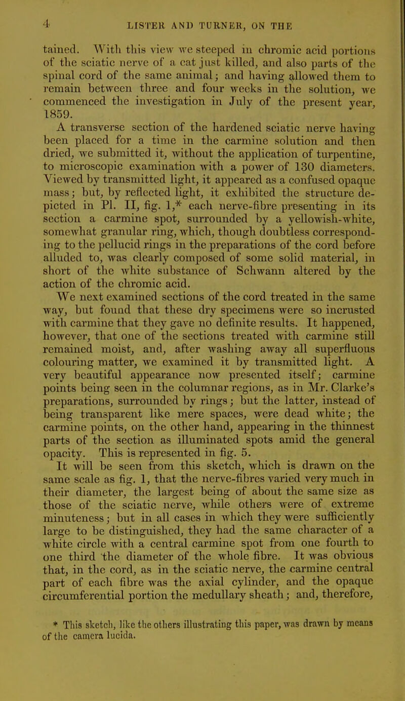 tained. With this view Ave steeped iu chromic acid portions of the sciatic nerve of a cat just killed, and also parts of the spinal cord of the same animal; and having allowed them to remain between three and four weeks in the solution, we commenced the investigation in July of the present year, 1859. A transverse section of the hardened sciatic nerve having been placed for a time in the carmine solution and then dried, we submitted it, without the application of turpentine, to microscopic examination with a power of 130 diameters. Viewed by transmitted light, it appeared as a confused opaque mass; but, by reflected light, it exhibited the structure de- picted in PI. II, fig. 1,* each nerve-fibre presenting in its section a carmine spot, surrounded by a yellowish-white, somewhat granular ring, which, though doubtless correspond- ing to the pellucid rings in the preparations of the cord before alluded to, was clearly composed of some solid material, in short of the white substance of Schwann altered by the action of the chromic acid. We next examined sections of the cord treated in the same way, but found that these dry specimens were so incrusted with carmine that they gave no definite results. It happened, however, that one of the sections treated with carmine still remained moist, and, after washing away all superfluous colouring matter, we examined it by transmitted light. A very beautiful appearance now presented itself; cai'mine points being seen in the columnar regions, as in Mr. Clarke's preparations, surrounded by rings; but the latter, instead of being transparent like mere spaces, were dead white; the carmine points, on the other hand, appearing in the thinnest parts of the section as illuminated spots amid the general opacity. This is represented in fig. 5. It will be seen from this sketch, which is drawn on the same scale as fig. 1, that the nerve-fibres varied very much in their diameter, the largest being of about the same size as those of the sciatic nerve, while others were of extreme minuteness; but in all cases in which they were sufficiently large to be distinguished, they had the same character of a white circle with a central carmine spot from one fourth to one third the diameter of the whole fibre. It was obvious that, in the cord, as in the sciatic nerve, the carmine central part of each fibre was the axial cylinder, and the opaque cii'cumferential portion the mediillary sheath; and, therefore, * Tliis sketch, like the others illustrating this paper, was drawn by means of the camera lucida.