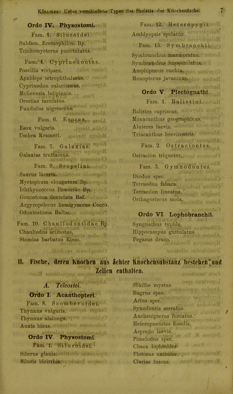 Ordo rv. Physostomi. Fam. 1. ■' Sil urdi d ' ' '• Subfam. Eremophilini Bp. Trichomycterus punctulatus. Fam: 4. Cy'piV1no%OTl'tbs. Poecilia vivipara. Apableps teti'oplithaliailis. Cyprinodon calaritanus. Molienesia latipip.iiis. Orestias taeniatus. Fundulus nigresceus.' ' Fam. 6. Esoces. Esox vulgaris. Umbra Krameri. Fam. 7. Galaji'i'≶ • ;^ Galaxias trutlaicus, Fam. 9..t.S.cop)elijii. ^ ^ Saurus lacerta. Myctophum eloiigatum Bp. Ichthyococcus Poweriae Bp. Gonostoma deniidata Raf. Argyropelecus hemigymmis Cooco. Odontostoma Balbo. Fam. 10. Cliauliodontidae Bjg. ,1- \; ■ ■ • ■■■■)'! ■ ■ t Chanliodus setihotus, Stomias barbatus Risso. Fam.-.ISL!'liSeite.r&--py^iv. '■ Amblyopsis' fepeladti's. -J.;.! iUT-.: Fam. 15. Sym.tj.r-ap.Cihii. Symtranchus :3iaarmoratus. Symbratichus iramaculatua. Amytliipnous cuchia. Monopterus javanitiig. Ordo V. Plectognathi. Fam. 1. B.ali,B ti;n!i. ;.ii u Balistes capriscus. ' Monacanthus geograpliicus. Aluteres laevis. Triacantlius breviroStns. Fam. 2. Ostraciontes. Ostracion triqueter.; . .- Fam. 3. G y ni'iii'id'B'n tes. Diodon spec. Tetraodou fahaca. TetraodoB lineatus. Orthagoriscus mola. Ordo VI. Lophobranchil. Syngnathus typlile. Hippocampus guttulatus. Pegasus draco. II. Fischc, ZcUcn cnlhjillcn. A. Teleosiei. OtAo I. Acanthopteri. Fam. 8. S comb c r oi dei. Thynnus vulgaris. rhynnu9 alalonga. Auxis bisus. Ordo IV. Phyaostomi. Fam/l; Sil'urb'idel;' Sihirus glanis. Siluria bicirrliis. Sdhilbe mystua. Bagrus spec. Arius spec. Synodontis serratiis. Auchenipterus furcatus. Heteropneiistes fossilis. Aspredo laevis. Pimelodus .spet. Chaca • lopM^)id6fi Plotosus unibolor. Glarias fuscus.