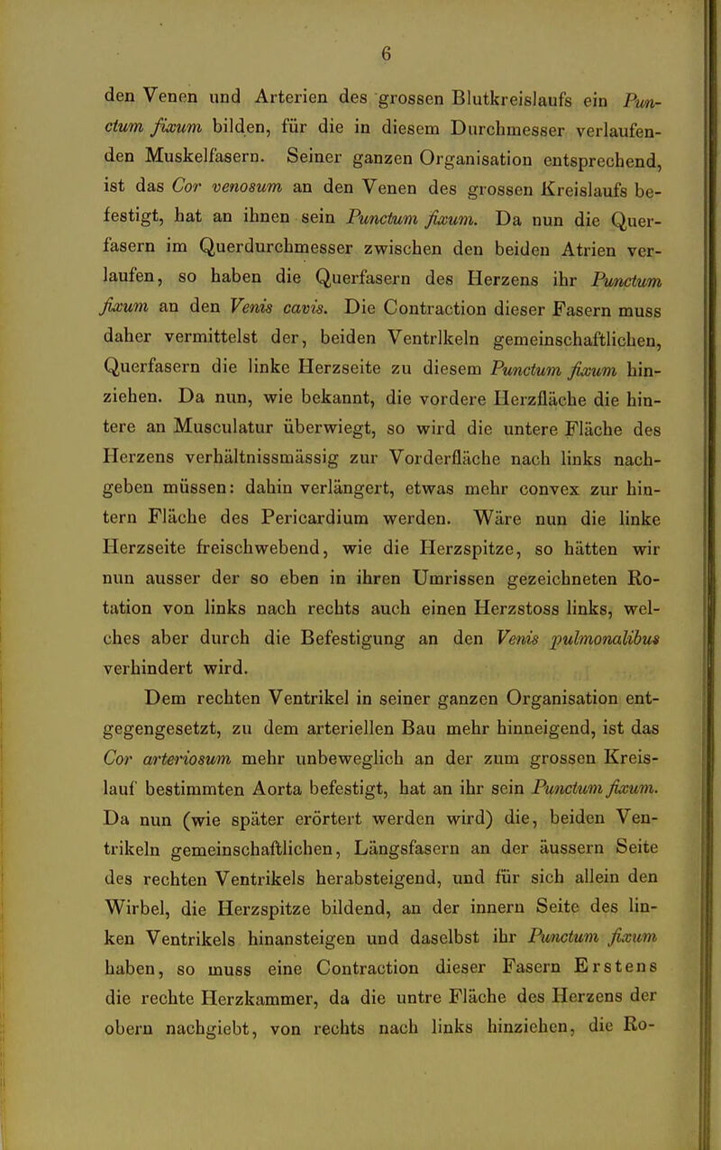 den Venen und Arterien des grossen Blutkreislaufs ein Pun- ctum fixum bilden, für die in diesem Durchmesser verlaufen- den Muskelfasern. Seiner ganzen Organisation entsprechend, ist das Cor venosum an den Venen des grossen Kreislaufs be- festigt, hat an ihnen sein Punctum fixum. Da nun die Quer- fasern im Querdurchmesser zwischen den beiden Atrien ver- laufen, so haben die Querfasern des Herzens ihr Punctum fi^um an den Venis cavis. Die Contraction dieser Fasern muss daher vermittelst der, beiden Ventrikeln gemeinschaftlichen, Querfasern die linke Herzseite zu diesem Punctum fi^um hin- ziehen. Da nun, wie bekannt, die vordere Herzfläche die hin- tere an Musculatur überwiegt, so wird die untere Fläche des Herzens verhältnissmässig zur Vorderfläche nach links nach- geben müssen: dahin verlängert, etwas mehr convex zur hin- tern Fläche des Pericardium werden. Wäre nun die linke Herzseite freischwebend, wie die Herzspitze, so hätten wir nun ausser der so eben in ihren Umrissen gezeichneten Ro- tation von links nach rechts auch einen Herzstoss links, wel- ches aber durch die Befestigung an den Venis pulmonalibus verhindert wird. Dem rechten Ventrikel in seiner ganzen Organisation ent- gegengesetzt, zu dem arteriellen Bau mehr hinneigend, ist das Cor arteriosum mehr unbeweglich an der zum grossen Kreis- lauf bestimmten Aorta befestigt, hat an ihr sein Punctum fixum. Da nun (wie später erörtert werden wird) die, beiden Ven- trikeln gemeinschaftlichen, Längsfasern an der äussern Seite des rechten Ventrikels herabsteigend, und für sich allein den Wirbel, die Herzspitze bildend, an der innern Seite des lin- ken Ventrikels hinansteigen und daselbst ihr Punctum fixum haben, so muss eine Contraction dieser Fasern Erstens die rechte Herzkammer, da die untre Fläche des Herzens der obern nachgiebt, von rechts nach links hinziehen, die Ro-