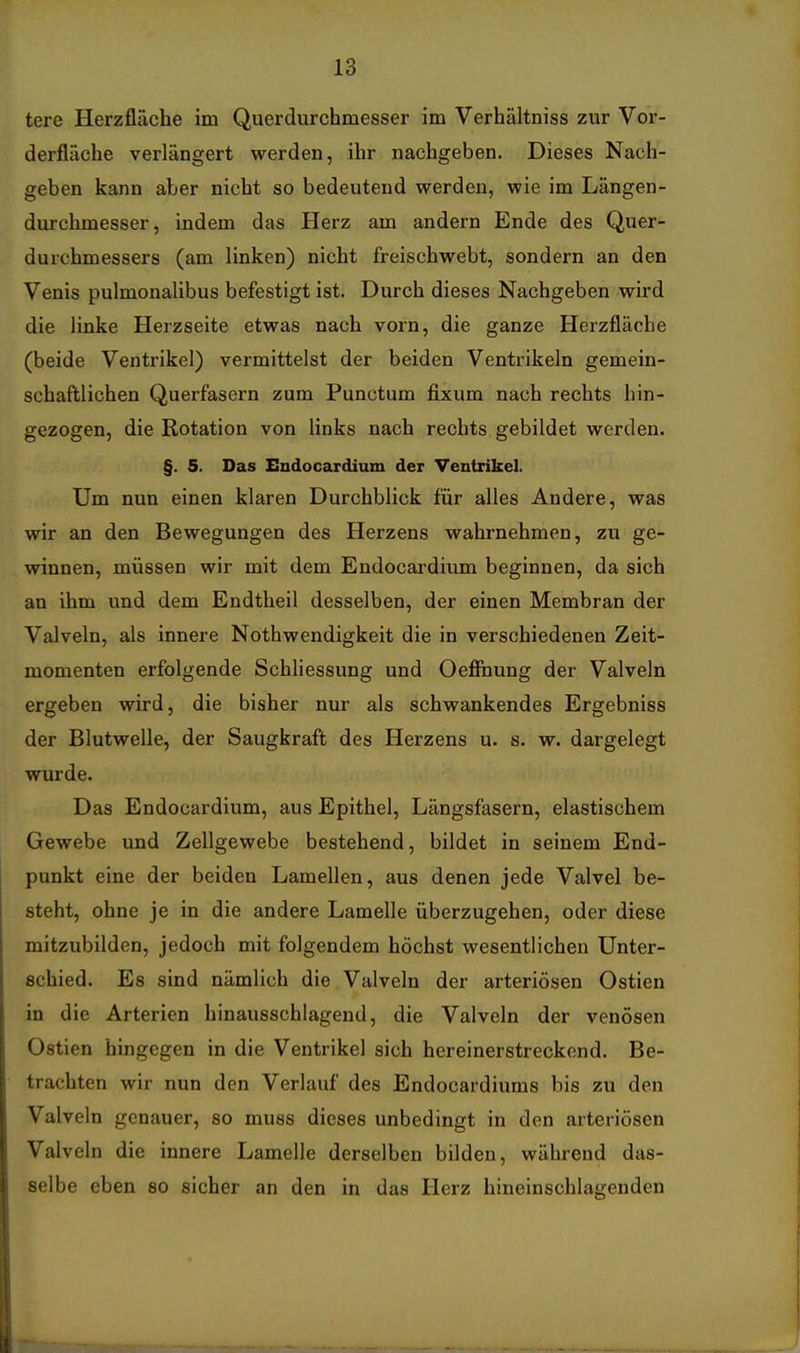 tere Herzfläche im Querdurchmesser im Verhältniss zur Vor- derfläche verlängert werden, ihr nachgeben. Dieses Nach- geben kann aber nicht so bedeutend werden, wie im Längen- durchmesser, indem das Herz am andern Ende des Quer- durchmessers (am linken) nicht freischwebt, sondern an den Venis pulmonalibus befestigt ist. Durch dieses Nachgeben wird die linke Herzseite etwas nach vorn, die ganze Herzfläche (beide Ventrikel) vermittelst der beiden Venti^ikeln gemein- schaftlichen Querfasern zum Punctum fixum nach rechts hin- gezogen, die Rotation von links nach rechts gebildet werden. §. 5. Das Endocardium der Ventrikel. Um nun einen klaren Durchblick für alles Andere, was wir an den Bewegungen des Herzens wahrnehmen, zu ge- winnen, müssen wir mit dem Endocardium beginnen, da sich an ihm und dem Endtheil desselben, der einen Membran der Valveln, als innere Nothwendigkeit die in verschiedenen Zeit- momenten erfolgende Schliessung und Oeffiiung der Valveln ergeben wird, die bisher nur als schwankendes Ergebniss der Blutwelle, der Saugkraft des Herzens u. s. w. dargelegt wurde. Das Endocardium, aus Epithel, Längsfasern, elastischem Gewebe und Zellgewebe bestehend, bildet in seinem End- punkt eine der beiden Lamellen, aus denen jede Valvel be- steht, ohne je in die andere Lamelle überzugehen, oder diese mitzubilden, jedoch mit folgendem höchst wesentlichen Unter- schied. Es sind nämlich die Valveln der arteriösen Ostien in die Arterien hinausschlagend, die Valveln der venösen Ostien hingegen in die Ventrikel sich hereinerstreckend. Be- trachten wir nun den Verlauf des Endocardiums bis zu den Valveln genauer, so muss dieses unbedingt in den arteriösen Valveln die innere Lamelle derselben bilden, während das- selbe eben so sicher an den in das Herz hineinschlagenden r