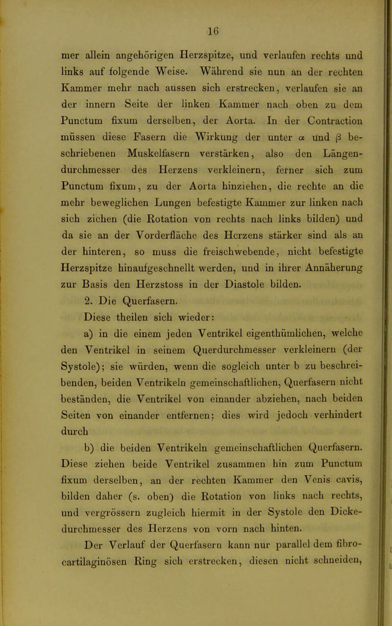 mer allein angehörigen Herzspitze, und verlaufen rechts und links auf folgende Weise. Während sie nun an der rechten Kammer mehr nach aussen sich erstrecken, verlaufen sie an der innern Seite der linken Kammer nach oben zu dem Punctum fixum derselben, der Aorta. In der Contraction müssen diese Fasern die Wirkung der unter a und ß be- schriebenen Muskelfasern verstärken, also den Längen- durchmesser des Herzens verkleinern, ferner sich zum Punctum fixum, zu der Aorta hinziehen, die rechte an die mehr beweglichen Lungen befestigte Kammer zur linken nach sich ziehen (die Rotation von rechts nach links bilden) und da sie an der Vorderfläche des Herzens stärker sind als an der hinteren, so muss die freischwebende, nicht befestigte Herzspitze hinaufgeschnellt werden, und in ihrer Annäherung zur Basis den Herzstoss in der Diastole bilden. 2. Die Querfasern. Diese theilen sich wieder: a) in die einem jeden Ventrikel eigenthümlichen, welche den Ventrikel in seinem Querdurchmesser verkleinern (der Systole); sie würden, wenn die sogleich unter b zu beschrei- benden, beiden Ventrikeln gemeinschaftlichen, Querfasern nicht beständen, die Ventrikel von einander abziehen, nach beiden Seiten von einander entfernen; dies wird jedoch verhindert durch b) die beiden Ventrikeln gemeinschaftlichen Querfaseru. Diese ziehen beide Ventrikel zusammen hin zum Punctum fixum derselben, an der rechten Kammer den Venis cavis, bilden daher (s. oben) die Rotation von links nach rechts, und vergrössern zugleich hiermit in der Systole den Dicke- durchmesser des Herzens von vorn nach hinten. Der Verlauf der Querfasern kann nur parallel dem fibro- cartilaginösen Ring sich erstrecken, diesen nicht schneiden.