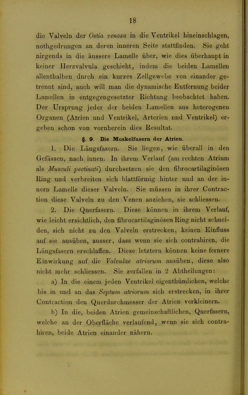 nothgedrungen an deren inneren Seite stattfinden. Sie geht nirgends in die äussere Lamelle über, wie dies überhaupt in keiner Herzvalvula geschieht, indem die beiden Lamellen allenthalben durch ein kurzes Zellgewebe von einander ge- trennt sind, auch will man die dynamische Entfernung beider Lamellen in entgegengesetzter Richtung beobachtet haben. Der Ursprung jeder der beiden Lamellen aus heterogenen Organen (Atrien und Ventrikel, Arterien nnd Ventrikel) er- geben schon von vornherein dies Resultat. §. 9. Die Muskelfasern der Atrien. 1. Die Längsfasern. Sie liegen, wie überall in den Gefässen, nach innen. In ihrem Verlauf (am rechten Atrium als Musculi pectinaW) durchsetzen sie den fibrocartilaginösen Ring und verbreiten sich blattförmig hinter und an der In- nern Lamelle dieser Valveln. Sie müssen in ihrer Contrac- tion diese Valveln zu den Venen anziehen, sie schliessen^ 2. Die Querfasern. Diese können in ihrem Verlauf, wie leicht ersichtlich, den fibrocartilaginösen Ring nicht schnei- den, sich nicht zu den Valveln erstrecken, keinen Einfluss auf sie ausüben, ausser, dass wenn sie sich contrahiren, die Längsfasern erschlaffen. Diese letztern können keine fernere Einwirkung auf die Valvulae airiorum ausüben, diese also nicht mehr schliessen. Sie zerfallen in 2 Abtheilungen: a) In die einem jeden Ventrikel eigenthümlichen, welche bis in und an das Septum atriorum sich erstrecken, in ihrer Contraction den Querdurchmesser der Atrien verkleinern. b) In die, beiden Atrien gemeinschaftlichen, Querfasern, welche an der Oberfläche verlaufend, wenn sie sich contra- hiren, beide Atrien einander nähern.