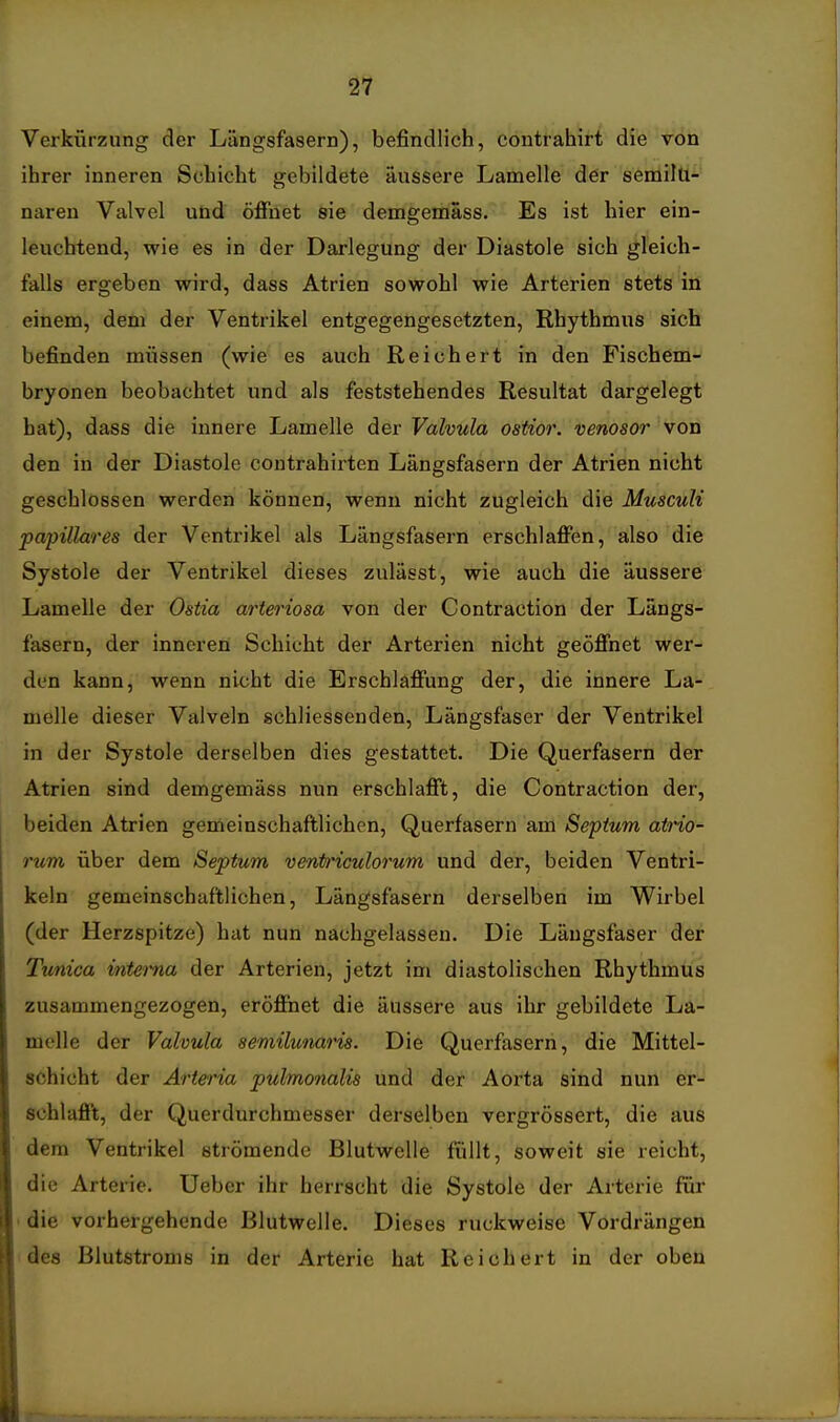 2? Verkürzung der Längsfasern), befindlich, contrahirt die von ihrer inneren Schicht gebildete äussere Lamelle der semilü^' naren Valvel uüd öffnet sie demgemäss. Es ist hier ein- leuchtend, wie es in der Darlegung der Diastole sich gleich- falls ergeben wird, dass Atrien sowohl wie Arterien stets in einem, dem der Ventrikel entgegengesetzten, Rhythmus sich befinden müssen (wie es auch Reichert in den Fischem- bryonen beobachtet und als feststehendes Resultat dargelegt hat), dass die innere Lamelle der Valvula ostior. venosor von den in der Diastole contrahirten Längsfasern der Atrien nicht geschlossen werden können, wenn nicht zugleich die Musculi papilläres der Ventrikel als Längsfasern erschlaffen, also die Systole der Ventrikel dieses zulässt, wie auch die äussere Lamelle der Ostia arteriosa von der Contraction der Längs- fasern, der inneren Schicht der Arterien nicht geöffnet wer- den kann, wenn nicht die Erschlaffung der, die innere La- melle dieser Valveln schiiessenden, Längsfaser der Ventrikel in der Systole derselben dies gestattet. Die Querfasern der Atrien sind demgemäss nun erschlafft, die Contraction der, beiden Atrien gemeinschaftlichen, Querfasern am Sepium atHo- rum über dem Septum ventriculorum und der, beiden Ventri- keln gemeinschaftlichen, Längsfasern derselben im Wirbel (der Herzspitze) hat nun nachgelassen. Die Längsfaser der Tunica interna der Arterien, jetzt im diastolischen Rhythmus zusammengezogen, eröffnet die äussere aus ihr gebildete La- melle der Valvula semilunaris. Die Querfasern, die Mittel- schicht der Arteria pulmonalis und der Aorta sind nun er- schlafft, der Querdurchmesser derselben vergrössert, die aus dem Ventrikel strömende Blutwelle füllt, soweit sie reicht, die Arterie. Ueber ihr herrscht die Systole der Arterie für ' die vorhergehende Blutwelle. Dieses ruckweise Vordrängen ■des Blutstroms in der Arterie hat Reichert in der oben