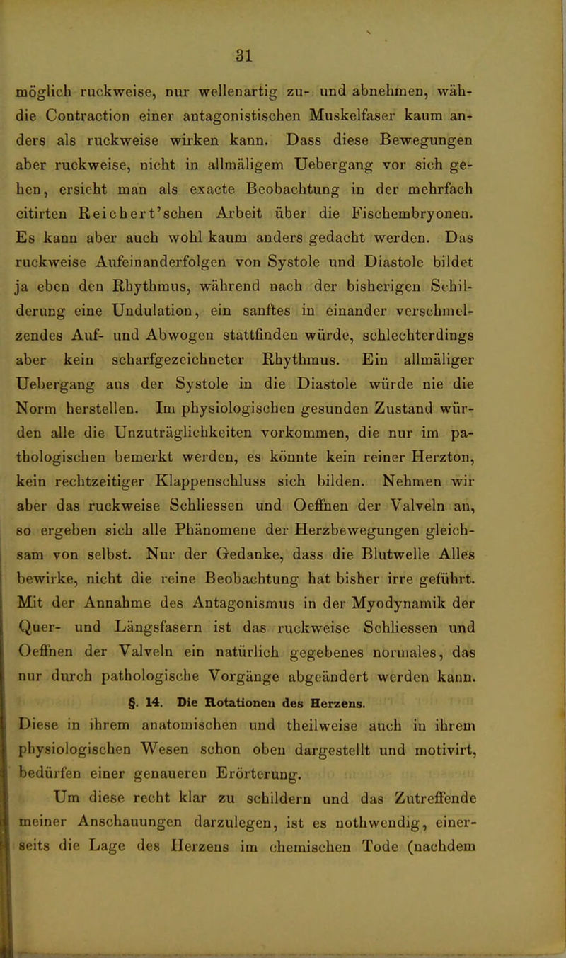 möglich ruckweise, nur wellenartig zu- und abnehmen, wäh- die Contraction einer antagonistischen Muskelfaser kaum an- ders als ruckweise wirken kann. Dass diese Bewegungen aber ruckweise, nicht in allmäligem Uebergang vor sich ge- hen, ersieht man als exacte Beobachtung in der mehrfach citirten Reichert'schen Arbeit über die Fischembryonen. Es kann aber auch wohl kaum anders gedacht werden. Das ruckweise Aufeinanderfolgen von Systole und Diastole bildet ja eben den Rhythmus, während nach der bisherigen Schil- derung eine Undulation, ein sanftes in einander verschmel- zendes Auf- und Abwogen stattfinden würde, schlechterdings aber kein scharfgezeichneter Rhythmus. Ein allmäliger Uebergang aus der Systole in die Diastole würde nie die Norm herstellen. Im physiologischen gesunden Zustand wür- den alle die Unzuträglichkeiten vorkommen, die nur im pa- thologischen bemerkt werden, es könnte kein reiner Herzton, kein rechtzeitiger Klappenschluss sich bilden. Nehmen wir aber das ruckweise Schliessen und Oeflfneu der Valveln an, so ergeben sich alle Phänomene der Herzbewegungen gleich- sam von selbst. Nur der Gedanke, dass die Blutwelle Alles bewirke, nicht die reine Beobachtung hat bisher irre geführt. Mit der Annahme des Antagonismus in der Myodynamik der Quer- und Längsfasern ist das ruckweise Schliessen und Oefinen der Valveln ein natürlich gegebenes normales, das nur durch pathologische Vorgänge abgeändert werden kann. §. 14. Die Rotationen des Herzens. Diese in ihrem anatomischen und theilweise auch in ihrem physiologischen Wesen schon oben dargestellt und motivirt, bedürfen einer genaueren Erörterung. Um diese recht klar zu schildern und das Zutreffende meiner Anschauungen darzulegen, ist es nothwendig, einer- seits die Lage des Herzens im chemischen Tode (nachdem