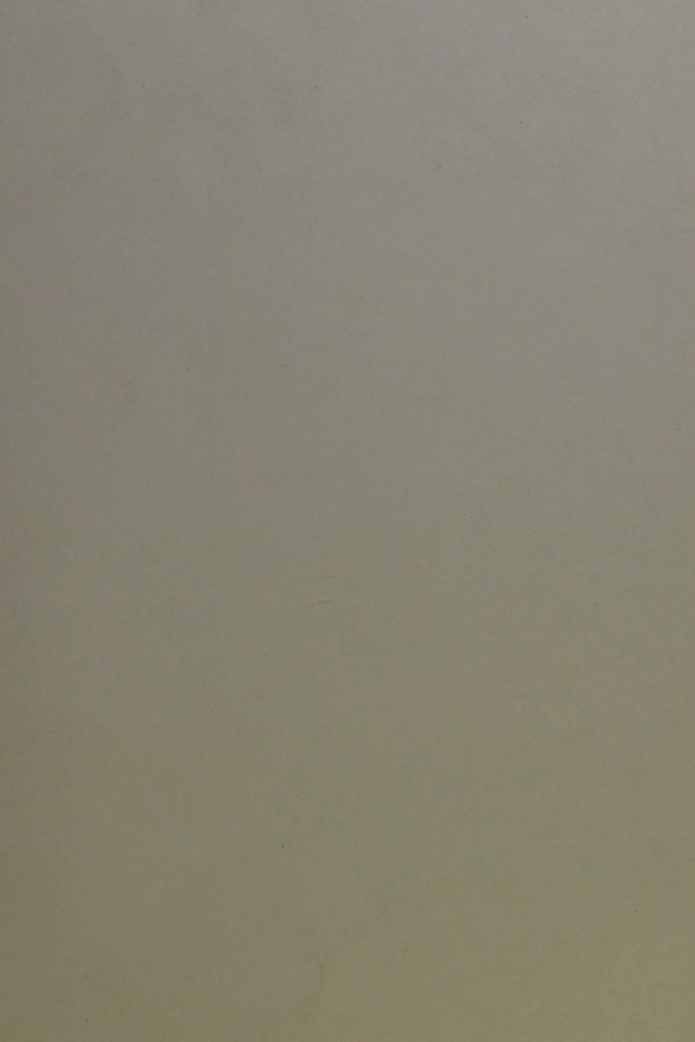 digitised image 1