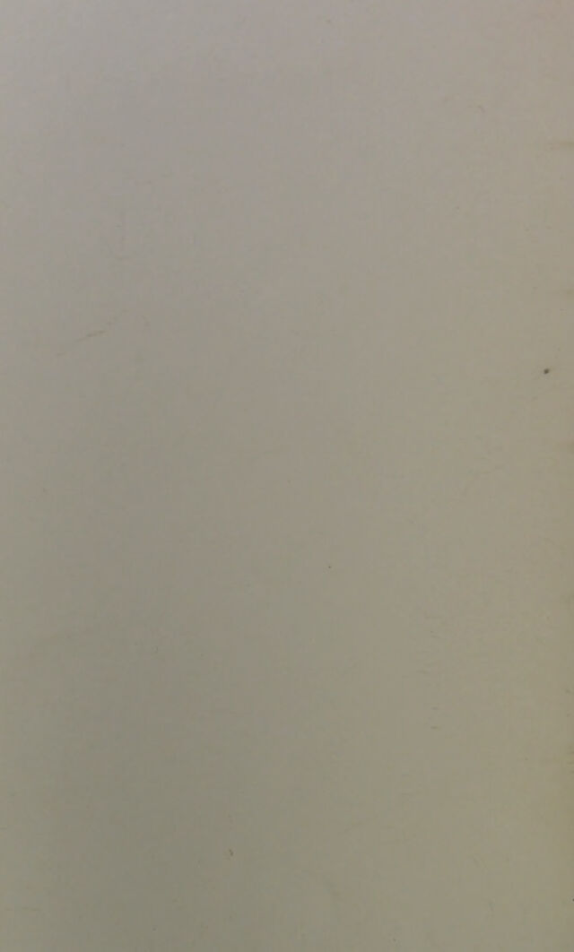 digitised image 2