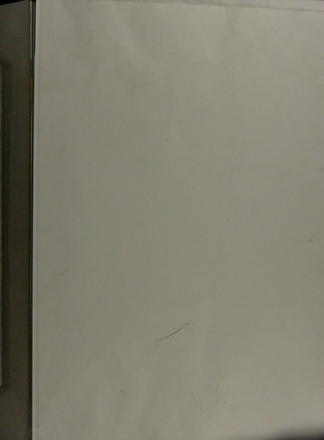 digitised image 1
