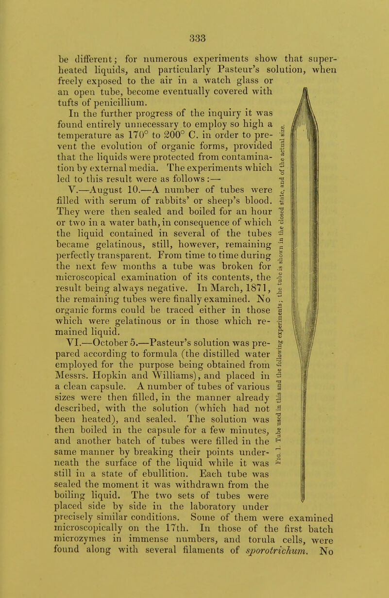 be difFevcnt; for numerous experiments show that super- heated liquids, and particularly Pasteur's solution, when freely exposed to the air in a watch glass or an open tube, become eventually covered with tufts of penicilliura. In the further progress of the inquiry it was found entirely unnecessary to employ so high a ^ temperature as 170° to 200° C. in order to pre- | vent the evolution of organic forms, provided | that the liquids were protected from contamina- t tion by external media. The experiments which S led to this result were as follows :— V. —August 10.—A number of tubes were % filled with serum of rabbits' or sheep's blood. I They were then sealed and boiled for an hour | or two in a water bath, in consequence of which the liquid contained in several of the tubes ^ became gelatinous, still, however, remaining ^ perfectly transparent. From time to time during J the next few months a tube was broken for .2 microscopical examination of its contents, the •§ result being always negative. In March, 1871, ^ the remaining tubes were finally examined. No organic forms could be traced either in those | which were gelatinous or in those which re- I mained liquid. S* VI. —October 5.—Pasteur's solution was pre- ^ pared according to formula (the distilled water I employed for the purpose being obtained from 2 Messrs. Hopkin and Williams), and placed in ^ a clean capsule. A number of tubes of various § sizes were then filled, in the manner already | described, with the solution (which had not 3 been heated), and sealed. The solution was g then boiled in the capsule for a few minutes, ^ and another batch of tubes were filled in the ^ same manner by breaking their points under- neath the surface of the liquid while it was ^ still in a state of ebullition. Each tube was \ sealed the moment it was withdrawn from the boiling liquid. The two sets of tubes were f| placed side by side in the laboratory under precisely similar conditions. Some of them were examined microscopically on the 17th. In those of the first batch microzymes in immense numbers, and torula cells, were found along with several filaments of sporotricIm7n. No