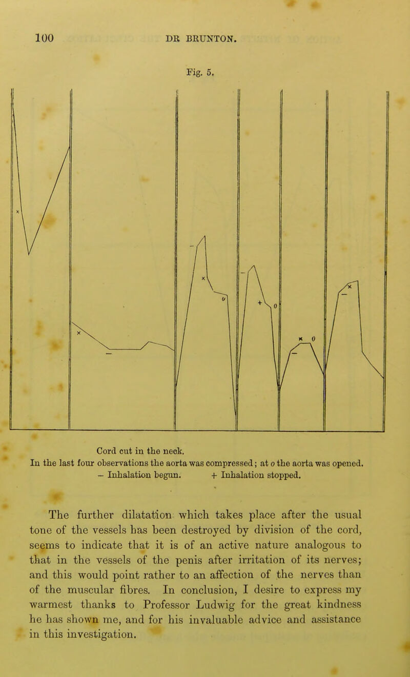 Fig. 5. Cord cut in the neck. In the last four observations the aorta was compressed; at o the aorta was opened. - Inhalation begun. + Inhalation stopped. The further dilatation which takes place after the usual tone of the vessels has been destroyed by division of the cord, seems to indicate that it is of an active nature analogous to that in the vessels of the penis after irritation of its nerves; and this would point rather to an affection of the nerves than of the muscular fibres. In conclusion, I desire to express my warmest thanks to Professor Ludwig for the great kindness he has shown me, and for his invaluable advice and assistance in this investigation.