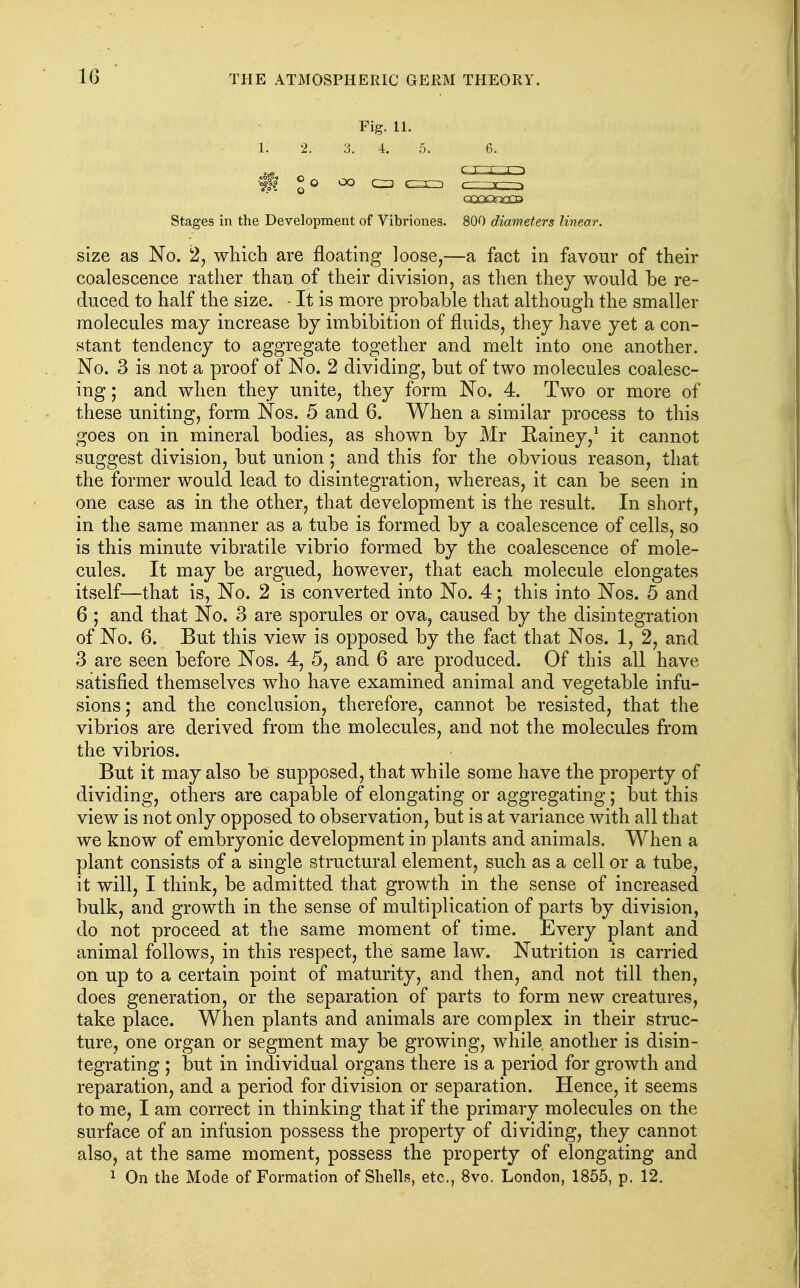 Fig. 11. 1. 2. 3. 4. 5. 6. CQQCtXCB Stages in the Development of Vibriones. 800 diameters linear. size as No. 2, which are floating loose,—a fact in favour of their coalescence rather than of their division, as then they would be re- duced to half the size. - It is more probable that although the smaller molecules may increase by imbibition of fluids, they have yet a con- stant tendency to aggregate together and melt into one another. No. 3 is not a proof of No. 2 dividing, but of two molecules coalesc- ing ; and when they unite, they form No. 4. Two or more of these uniting, form Nos. 5 and 6. When a similar process to this goes on in mineral bodies, as shown by Mr Eainey,^ it cannot suggest division, but union; and this for the obvious reason, that the former would lead to disintegration, whereas, it can be seen in one case as in the other, that development is the result. In short, in the same manner as a tube is formed by a coalescence of cells, so is this minute vibratile vibrio formed by the coalescence of mole- cules. It may be argued, however, that each molecule elongates itself—that is, No. 2 is converted into No. 4; this into Nos. 5 and 6 ; and that No. 3 are sporules or ova, caused by the disintegration of No. 6. But this view is opposed by the fact that Nos. 1, 2, and 3 are seen before Nos. 4, 5, and 6 are produced. Of this all have satisfied themselves who have examined animal and vegetable infu- sions; and the conclusion, therefore, cannot be resisted, that the vibrios are derived from the molecules, and not the molecules from the vibrios. But it may also be supposed, that while some have the property of dividing, others are capable of elongating or aggregating; but this view is not only opposed to observation, but is at variance with all that we know of embryonic development in plants and animals. When a plant consists of a single structural element, such as a cell or a tube, it will, I think, be admitted that growth in the sense of increased bulk, and growth in the sense of multiplication of parts by division, do not proceed at the same moment of time. Every plant and animal follows, in this respect, the same law. Nutrition is carried on up to a certain point of maturity, and then, and not till then, does generation, or the separation of parts to form new creatures, take place. When plants and animals are complex in their struc- ture, one organ or segment may be growing, while another is disin- tegrating ; but in individual organs there is a period for growth and reparation, and a period for division or separation. Hence, it seems to me, I am correct in thinking that if the primary molecules on the surface of an infusion possess the property of dividing, they cannot also, at the same moment, possess the property of elongating and 1 On the Mode of Formation of Shells, etc., 8vo. London, 1855, p. 12.