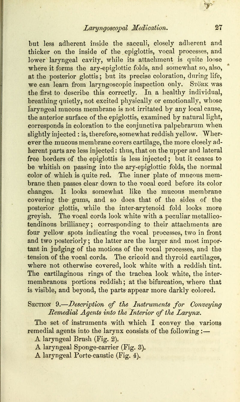but less adherent inside the sacculi, closely adherent and thicker on the inside of the epiglottis, vocal processes, and lower laryngeal cavity, while its attachment is quite loose where it forms the ary-epiglottic folds, and somewhat so, also, at the posterior glottis; but its precise coloration, during life, we can learn from laryngoscopic inspection only. Stork was the first to describe this correctly. In a healthy individual, breathing quietly, not excited physically or emotionally, whose laryngeal mucous membrane is not irritated by any local cause, the anterior surface of the epiglottis, examined by natural light, corresponds in coloration to the conjunctiva palpebrarum when slightly injected : is, therefore, somewhat reddish yellow. Wher- ever the mucous membrane covers cartilage, the more closely ad- herent parts are less injected: thus, that on the upper and lateral free borders of the epiglottis is less injected; but it ceases to be whitish on passing into the ary-epiglottic folds, the normal color of which is quite red. The inner plate of mucous mem- brane then passes clear down to the vocal cord before its color changes. It looks somewhat like the mucous membrane covering the- gums, and so does that of the sides of the posterior glottis, while the inter-arytenoid fold looks more greyish. The vocal cords look white with a peculiar metallico- tendinous brilliancy; corresponding to their attachments are four yellow spots indicating the vocal processes, two in front and two posteriorly; the latter are the larger and most impor- tant in judging of the motions of the vocal processes, and the tension of the vocal cords. The cricoid and thyroid cartilages, where not otherwise covered, look white with a reddish tint. The cartilaginous rings of the trachea look white, the inter- membranous portions reddish; at tlie bifurcation, where that is visible, and beyond, the parts- appear more darkly colored. Section 9.—Descrijption of the Instruments for Conveying Remedial Agents into the Interior of the Larynx. The set of instruments with which I convey the various remedial agents into the larynx consists of the following :— A laryngeal Brush (Fig. 2). A laryngeal Sponge-carrier (Fig. 3). A laryngeal Porte-caustic (Fig. 4).