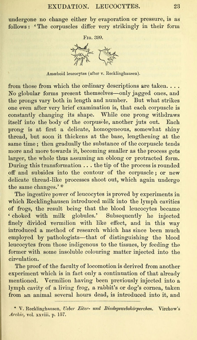 undergone no change either by evaporation or pressure, is as follows : ' The corpuscles differ very strikingly in their form Fm. 399. Amoeboid leucocytes (after v. Recklinghausen). from those from which the ordinary descriptions are taken. . . . 'No globular forms present themselves—only jagged ones, and the prongs vary both in length and number. But what strikes one even after very brief examination is, that each corpuscle is constantly changing its shape. While one prong withdraws itself into the body of the corpusole, another juts out. Each prong is at first a delicate, homogeneous, somewhat shiny thread, but soon it thickens at the base, lengthening at the same time ; then gradually the substance of the corpuscle tends more and more towards it, becoming smaller as the process gets larger, the whole thus assuming an oblong or protracted form. During this transformation .. . the tip of the process is rounded off and subsides into the contour of the corpuscle; or new delicate thread-like processes shoot out, which again undergo the same changes.' The ingestive power of leucocytes is proved by experiments in which Recklinghausen introduced milk into the lymph cavities of frogs, the result being that the blood leucocytes became ' choked with milk globules.' Subsequently he injected finely divided vermilion with like effect, and in this way introduced a method of research which has since been much employed by pathologists—that of distinguishing the blood leucocytes from those indigenous to the tissues, by feeding the former with some insoluble colouring matter injected into the circulation. The proof of the faculty of locomotion is derived from another experiment which is in fact only a continuation of that already mentioned. Yermilion having been previously injected into a lymph cavity of a living frog, a rabbit's or dog's cornea, taken from an animal several hours dead, is introduced into it, and * V. Recklinghausen, Ueber Eiter- und Bindegeioehskdrperchm. Virchow's Archiv, vol. xxviii. p. 157.