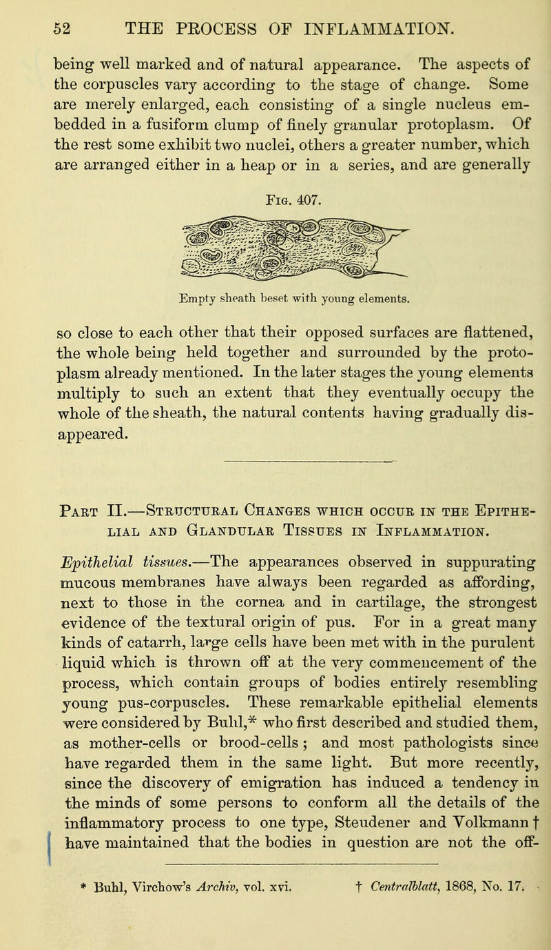 being well marked and of natural appearance. The aspects of the corpuscles vary according to the stage of change. Some are merely enlarged, each consisting of a single nucleus em- bedded in a fusiform clump of finely granular protoplasm. Of the rest some exhibit two nuclei, others a greater number, which are arranged either in a heap or in a series, and are generally Fig. 407. Empty sheath beset with young elements. SO close to each other that their opposed surfaces are flattened, the whole being held together and surrounded by the proto- plasm already mentioned. In the later stages the young elements multiply to such an extent that they eventually occupy the whole of the sheath, the natural contents having gradually dis- appeared. Part II.—Structural Changes which occur in the Epithe- lial AND Glandular Tissues in Inflammation. Epithelial tissues.—The appearances observed in suppurating mucous membranes have always been regarded as affording, next to those in the cornea and in cartilage, the strongest evidence of the textural origin of pus. For in a great many kinds of catarrh, large cells have been met with in the purulent liquid which is thrown off at the very commencement of the process, which contain groups of bodies entirely resembling young pus-corpuscles. These remarkable epithelial elements were considered by Buhl,^ who first described and studied them, as mother-cells or brood-cells ; and most pathologists sinca have regarded them in the same light. But more recently, since the discovery of emigration has induced a tendency in the minds of some persons to conform all the details of the inflammatory process to one type, Steudener and Volkmann f have maintained that the bodies in question are not the off- * Buhl, Virchow's Archiv, vol. xvi. t Centralblatt, 1868, No. 17.