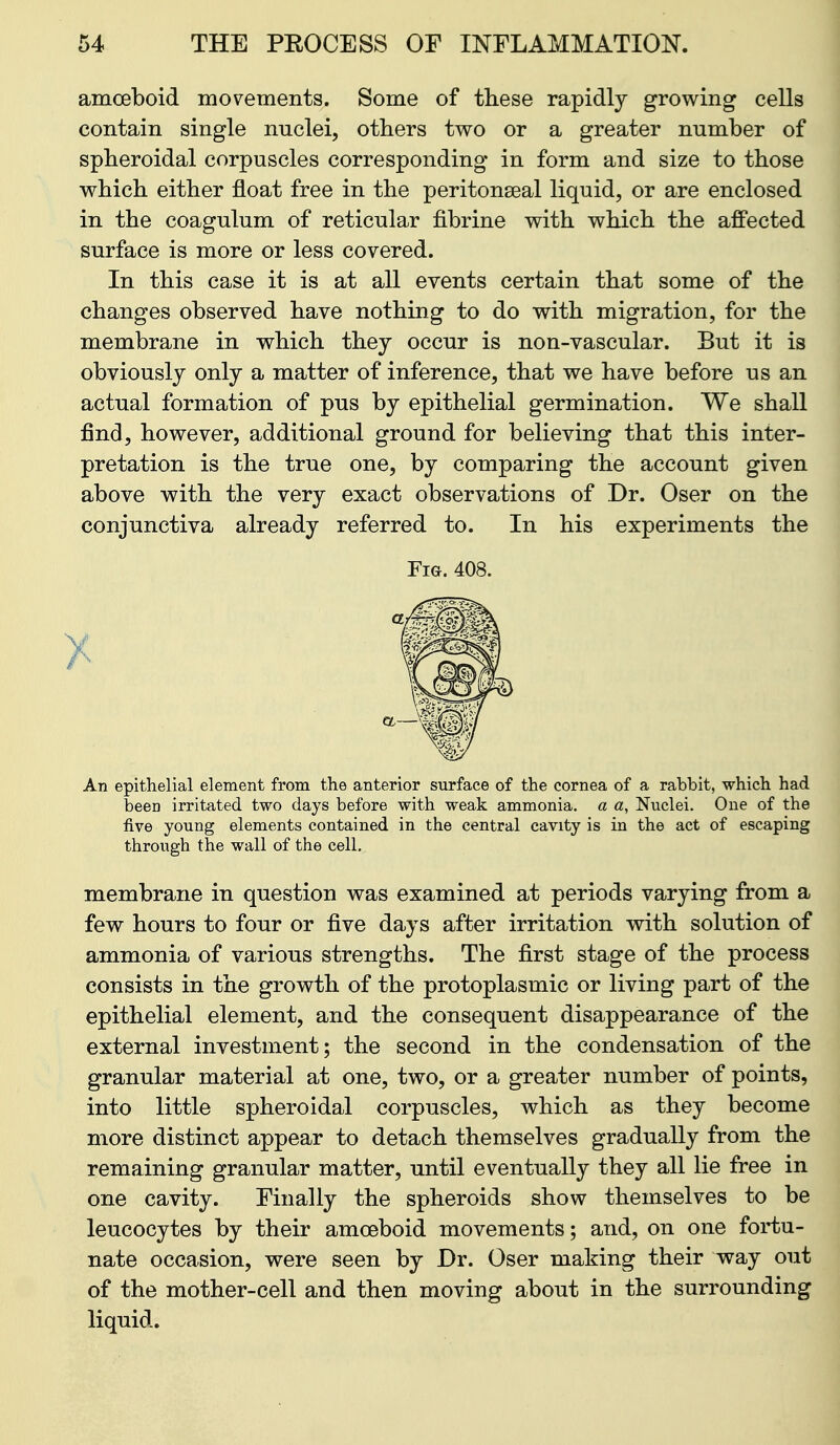 amoeboid movements. Some of these rapidly growing cells contain single nuclei, others two or a greater number of spheroidal corpuscles corresponding in form and size to those which either float free in the peritonseal liquid, or are enclosed in the coagulum of reticular fibrine with which the affected surface is more or less covered. In this case it is at all events certain that some of the changes observed have nothing to do with migration, for the membrane in which they occur is non-vascular. But it is obviously only a matter of inference, that we have before us an actual formation of pus by epithelial germination. We shall find, however, additional ground for believing that this inter- pretation is the true one, by comparing the account given above with the very exact observations of Dr. Oser on the conjunctiva already referred to. In his experiments the Fig. 408. An epithelial element from the anterior surface of the cornea of a rabbit, which had been irritated two days before with weak ammonia, a a, Nuclei. One of the five young elements contained in the central cavity is in the act of escaping through the wall of the cell, membrane in question was examined at periods varying from a few hours to four or five days after irritation with solution of ammonia of various strengths. The first stage of the process consists in the growth of the protoplasmic or living part of the epithelial element, and the consequent disappearance of the external investment; the second in the condensation of the granular material at one, two, or a greater number of points, into little spheroidal corpuscles, which as they become more distinct appear to detach themselves gradually from the remaining granular matter, until eventually they all lie free in one cavity. Finally the spheroids show themselves to be leucocytes by their amoeboid movements; and, on one fortu- nate occasion, were seen by Dr. Oser making their way out of the mother-cell and then moving about in the surrounding liquid.