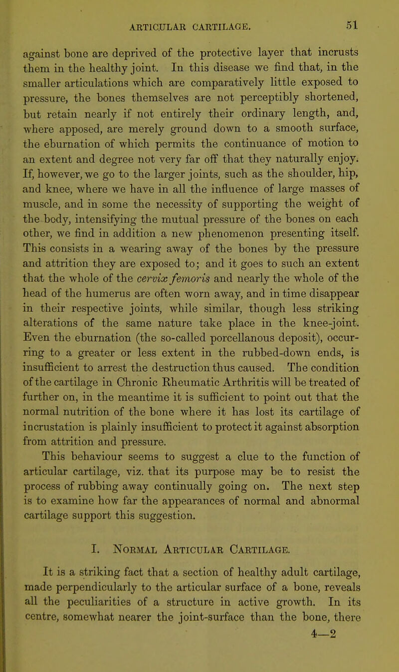 against bone are deprived of the protective layer that incrusts them in the healthy joint. In this disease we find that, in the smaller articulations which are comparatively little exposed to pressure, the bones themselves are not perceptibly shortened, but retain nearly if not entirely their ordinary length, and, where apposed, are merely ground down to a smooth surface, the eburnation of which permits the continuance of motion to an extent and degree not very far off that they naturally enjoy. If, however, we go to the larger joints, such as the shoulder, hip, and knee, where we have in all the influence of large masses of muscle, and in some the necessity of supporting the weight of the body, intensifying the mutual pressure of the bones on each other, we find in addition a new phenomenon presenting itself. This consists in a wearing away of the bones by the pressure and attrition they are exposed to; and it goes to such an extent that the whole of the cervix femoris and nearly the whole of the head of the humerus are often worn away, and in time disappear in their respective joints, while similar, though less striking alterations of the same nature take place in the knee-joint. Even the eburnation (the so-called porcellanous deposit), occur- ring to a greater or less extent in the rubbed-down ends, is insufficient to arrest the destruction thus caused. The condition of the cartilage in Chronic Rheumatic Arthritis will be treated of further on, in the meantime it is sufficient to point out that the normal nutrition of the bone where it has lost its cartilage of incrustation is plainly insufficient to protect it against absorption from attrition and pressure. This behaviour seems to suggest a clue to the function of articular cartilage, viz. that its purpose may be to resist the process of rubbing away continually going on. The next step is to examine how far the appearances of normal and abnormal cartilage support this suggestion. I. Normal Articular Cartilage. It is a striking fact that a section of healthy adult cartilage, made perpendicularly to the articular surface of a bone, reveals all the peculiarities of a structure in active growth. In its centre, somewhat nearer the joint-surface than the bone, there 4—2
