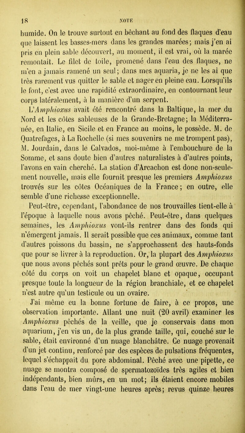 humide. On le trouve surtout en bêchant au fond des flaques d'eau que laissent les basses-mers dans les grandes marées; mais j'en ai pris en plein sable découvert, au moment, il est vrai, où la marée remontait. Le filet de toile, promené dans l'eau des flaques, ne m'en a jamais ramené un seul; dans mes aquaria, je ne les ai que très rarement vus quitter le sable et nager en pleine eau. Lorsqu'ils le font, c est avec une rapidité extraordinaire, en contournant leur corps latéralement, à la manière d'un serpent. UAmphioxus avait été rencontré dans la Baltique, la mer du Nord et les côtes sableuses de la Grande-Bretagne; la Méditerra- née, en Italie, en Sicile et en France au moins, le possède. M. de Quatrefages, à La RocheUe (si mes souvenirs ne me trompent pas), M. Jourdain, dans le Calvados, moi-même à l'embouchure de la Somme, et sans doute bien d'autres naturalistes à d'autres points, l'avons en vain cherché. La station d'Arcachon est donc non-seule- ment nouvelle, mais elle fournit presque les premiers Amphioxus trouvés sur les côtes Océaniques de la France ; en outre, elle semble d'une richesse exceptionnelle. Peut-être, cependant, l'abondance de nos trouvailles tient-elle à l'époque à laquelle nous avons péché. Peut-être, dans quelques semaines, les Amphioxus vont-ils rentrer dans des fonds qui n'émergent jamais. Il serait possible que ces animaux, comme tant d'autres poissons du bassin, ne s'approchassent des hauts-fonds que pour se livrer à la reproduction. Or, la plupart des Amphioxus que nous avons péchés sont prêts pour le grand œuvre. De chaque côté du corps on voit un chapelet blanc et opaque, occupant presque toute la longueur de la région branchiale, et ce chapelet n'est autre qu'un testicule ou un ovaire. J'ai même eu la bonne fortune de faire, à ce propos, une observation importante. Allant une nuit (20 avril) examiner les Amphioxus péchés de la veille, que je conservais dans mon aquarium, j'en vis un, de la plus grande taille, qui, couché sur le sable, était environné d'un nuage blanchâtre. Ce nuage provenait d'un jet continu, renforcé par des espèces de pulsations fréquentes, lequel s'échappait du pore abdominal. Péché avec une pipette, ce nuage se montra composé de spermatozoïdes très agiles et bien indépendants, bien mûrs, en un mot; ils étaient encore mobiles dans l'eau de mer vingt-une heures après; revus quinze heures