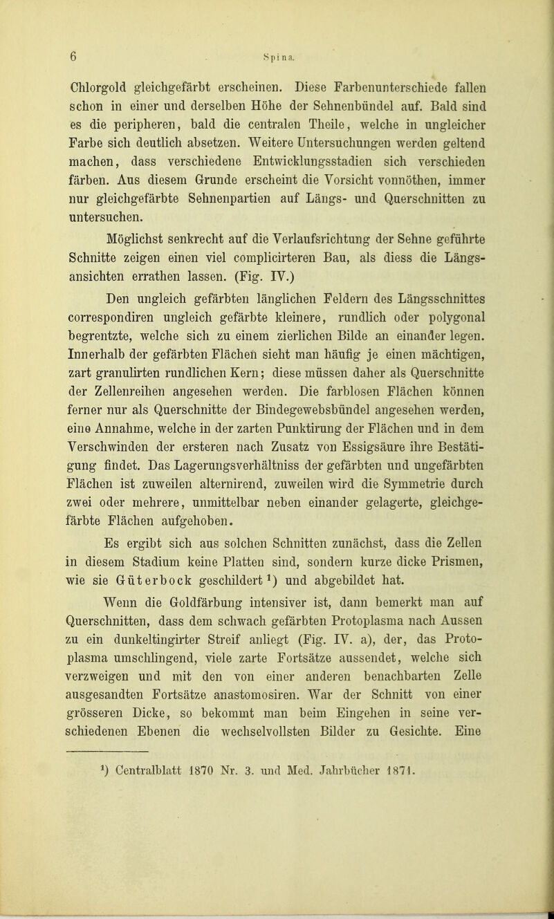 Chlorgold gleichgefärbt erscheinen. Diese Farbenunterschiede fallen schon in einer und derselben Höhe der Sehnenbündel auf. Bald sind es die peripheren, bald die centralen Theile, welche in ungleicher Farbe sich deutlich absetzen. Weitere Untersuchungen werden geltend machen, dass verschiedene Entwicklungsstadien sich verschieden färben. Aus diesem Grunde erscheint die Vorsicht vonnöthen, immer nur gleichgefärbte Sehnenpartien auf Längs- und Querschnitten zu untersuchen. Möglichst senkrecht auf die Verlaufsrichtung der Sehne geführte Schnitte zeigen einen viel complicirteren Bau, als diess die Längs- ansichten errathen lassen. (Fig. IV.) Den ungleich gefärbten länglichen Feldern des Längsschnittes correspondiren ungleich gefärbte kleinere, rundlich oder polygonal begrentzte, welche sich zu einem zierlichen Bilde an einander legen. Innerhalb der gefärbten Flächen sieht man häufig je einen mächtigen, zart granulirten rundlichen Kern; diese müssen daher als Querschnitte der Zellenreihen angesehen werden. Die farblosen Flächen können ferner nur als Querschnitte der Bindegewebsbündel angesehen werden, eine Annahme, welche in der zarten Punktirung der Flächen und in dem Verschwinden der ersteren nach Zusatz von Essigsäure ihre Bestäti- gung findet. Das Lagerungsverhältniss der gefärbten und ungefärbten Flächen ist zuweilen alternirend, zuweilen wird die Symmetrie durch zwei oder mehrere, unmittelbar neben einander gelagerte, gleichge- färbte Flächen aufgehoben. Es ergibt sich aus solchen Schnitten zunächst, dass die Zellen in diesem Stadium keine Platten sind, sondern kurze dicke Prismen, wie sie Güterbock geschildert^) und abgebildet hat. Wenn die Goldfärbung intensiver ist, dann bemerkt man auf Querschnitten, dass dem schwach gefärbten Protoplasma nach Aussen zu ein dunkeltingirter Streif anliegt (Fig. IV. a), der, das Proto- plasma umschlingend, viele zarte Fortsätze aussendet, welche sich verzweigen und mit den von einer anderen benachbarten Zelle ausgesandten Fortsätze anastomosiren. War der Schnitt von einer grösseren Dicke, so bekommt man beim Eingehen in seine ver- schiedenen Ebenen die wechselvollsten Bilder zu Gesichte. Eine ») Gentralblatt 1870 Nr. 3. und Med. Jahrbücher 1871.