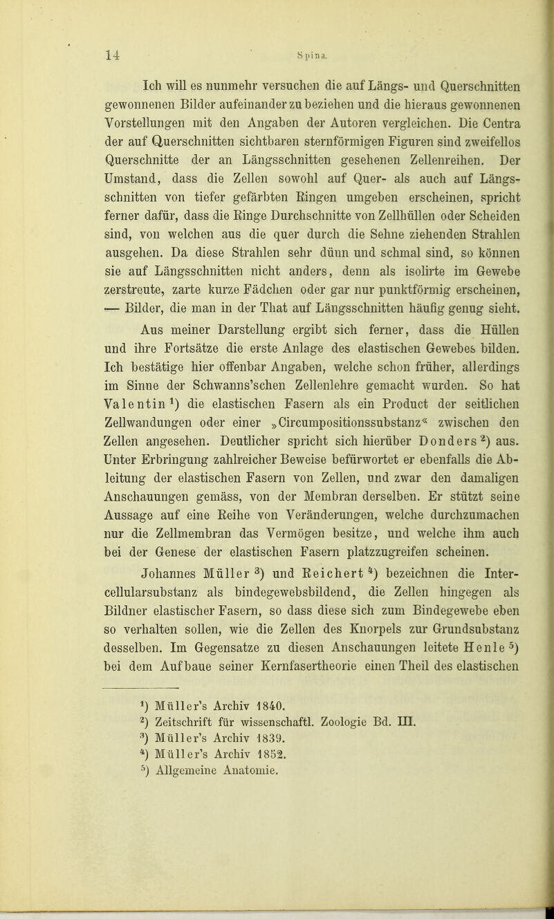 Ich will es nunmehr versuchen die auf Längs- und Querschnitten gewonnenen Bilder aufeinander zu beziehen und die hieraus gewonnenen Vorstellungen mit den Angaben der Autoren vergleichen. Die Centra der auf Querschnitten sichtbaren sternförmigen Figuren sind zweifellos Querschnitte der an Längsschnitten gesehenen Zellenreihen. Der Umstand, dass die Zellen sowohl auf Quer- als auch auf Längs- schnitten von tiefer gefärbten Eingen umgeben erscheinen, spricht ferner dafür, dass die Einge Durchschnitte von Zellhüllen oder Scheiden sind, von welchen aus die quer durch die Sehne ziehenden Strahlen ausgehen. Da diese Strahlen sehr dünn und schmal sind, so können sie auf Längsschnitten nicht anders, denn als isolirte im Gewebe zerstreute, zarte kurze Fädchen oder gar nur punktförmig erscheinen, — Bilder, die man in der That auf Längsschnitten häufig genug sieht. Aus meiner Darstellung ergibt sich ferner, dass die Hüllen und ihre Fortsätze die erste Anlage des elastischen Gewebes bilden. Ich bestätige hier offenbar Angaben, welche schon früher, allerdings im Sinne der Schwanns'schen Zellenlehre gemacht wurden. So hat Valentin^) die elastischen Fasern als ein Product der seitlichen Zellwandungen oder einer »Circumpositionssubstanz« zwischen den Zellen angesehen. Deutlicher spricht sich hierüber Donders 2) aus. Unter Erbringung zahlreicher Beweise befürwortet er ebenfalls die Ab- leitung der elastischen Fasern von Zellen, und zwar den damaligen Anschauungen gemäss, von der Membran derselben. Er stützt seine Aussage auf eine Eeihe von Veränderungen, welche durchzumachen nur die Zellmembran das Vermögen besitze, und welche ihm auch bei der Genese der elastischen Fasern platzzugreifen scheinen. Johannes Müller ^) und Eeichert *) bezeichnen die Inter- cellularsubstanz als bindegewebsbildend, die Zellen hingegen als Bildner elastischer Fasern, so dass diese sich zum Bindegewebe eben so verhalten sollen, wie die Zellen des Knorpels zur Grundsubstauz desselben. Im Gegensatze zu diesen Anschauungen leitete Henle ^) bei dem Aufbaue seiner Kernfasertheorie einen Theil des elastischen *) Müller's Archiv 1840. 2) Zeitschrift für wissenschaftl. Zoologie Bd. III. ^) Müller's Archiv 1839. *) Müller's Archiv 1852. ^} Allgemeine Anatomie.