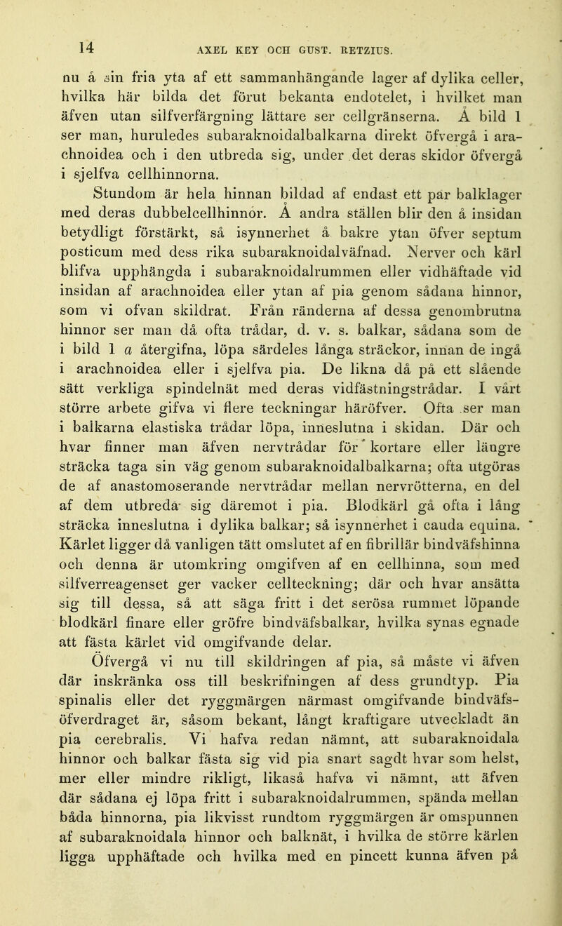 nu å ä'm fria yta af ett sammanhängande lager af dylika celler, hvilka här bilda det förut bekanta endotelet, i hvilket man äfven utan silfverfärgning lättare ser cellgränserna. A bild 1 ser man, huruledes subaraknoidalbalkarna direkt öfvergå i ara- chnoidea och i den utbreda sig, under det deras skidor öfvergå i sjelfva cellhinnorna. Stundom är hela hinnan bildad af endast ett par balklager med deras dubbelcellhinnor. A andra ställen blir den å insidan betydligt förstärkt, så isynnerhet å bakre ytan öfver septum posticum med dess rika subaraknoidalväfnad. Nerver och kärl blifva upphängda i subaraknoidalrummen eller vidhäftade vid insidan af arachnoidea eller ytan af pia genom sådana hinnor, som vi ofvan skildrat. Från ränderna af dessa genombrutna hinnor ser man då ofta trådar, d. v. s. balkar, sådana som de i bild 1 a återgifna, löpa särdeles långa sträckor, innan de ingå i arachnoidea eller i sjelfva pia. De likna då på ett slående sätt verkliga spindelnät med deras vidfästningstrådar. I vårt större arbete gifva vi flere teckningar häröfver. Ofta ser man i balkarna elastiska trådar löpa, inneslutna i skidan. Där och hvar finner man äfven nervtrådar för' kortare eller längre sträcka taga sin väg genom subaraknoidalbalkarna; ofta utgöras de af anastomoserande nervtrådar mellan nervrötterna, en del af dem utbreda- sig däremot i pia. Blodkärl gå ofta i lång sträcka inneslutna i dylika balkar; så isynnerhet i cauda equina. * Kärlet ligger då vanligen tätt omslutet af en fibrillär bindväfshinna och denna är utomkring omgifven af en cellhinna, som med silfverreagenset ger vacker cellteckning; där och hvar ansätta sig till dessa, så att säga fritt i det serösa rummet löpande blodkärl finare eller gröfre bindväfsbalkar, hvilka synas egnade att fästa kärlet vid omgifvande delar. Öfvergå vi nu till skildringen af pia, så måste vi äfven där inskränka oss till beskrifningen af dess grundtyp. Pia spinalis eller det ryggmärgen närmast omgifvande bindväfs- öfverdraget är, såsom bekant, långt kraftigare utveckladt än pia cerebralis. Vi hafva redan nämnt, att subaraknoidala hinnor och balkar fästa sig vid pia snart sagdt hvar som helst, mer eller mindre rikligt, likaså hafva vi nämnt, att äfven där sådana ej löpa fritt i subaraknoidalrummen, spända mellan båda hinnorna, pia likvisst rundtorn ryggmärgen är omspunnen af subaraknoidala hinnor och balknät, i hvilka de större kärlen ligga upphäftade och hvilka med en pincett kunna äfven på