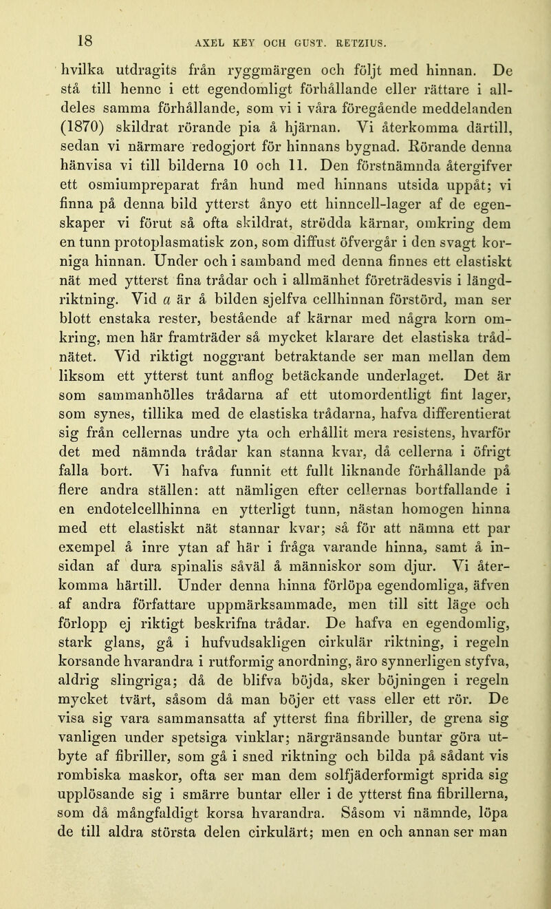 hvilka utdragits från ryggmärgen och följt med hinnan. De stå till henne i ett egendomligt förhållande eller rättare i all- deles samma förhållande, som vi i våra föregående meddelanden (1870) skildrat rörande pia å hjärnan. Vi återkomma därtill, sedan vi närmare redogjort för hinnans bygnad. Rörande denna hänvisa vi till bilderna 10 och 11. Den förstnämnda återgifver ett osmiumpreparat från hund med hinnans utsida uppåt; vi finna på denna bild ytterst ånyo ett hinncell-lager af de egen- skaper vi förut så ofta skildrat, strödda kärnar, omkring dem en tunn protoplasmatisk zon, som diffust öfvergår i den svagt kor- niga hinnan. Under och i samband med denna finnes ett elastiskt nät med ytterst fina trådar och i allmänhet företrädesvis i längd- riktning. Vid a är å bilden sjelfva cellhinnan förstörd, man ser blott enstaka rester, bestående af kärnar med några korn om- kring, men här framträder så mycket klarare det elastiska tråd- nätet. Vid riktigt noggrant betraktande ser man mellan dem liksom ett ytterst tunt anflog betäckande underlaget. Det är som sammanhölies trådarna af ett utomordentligt fint lager, som synes, tillika med de elastiska trådarna, hafva differentierat sig från cellernas undre yta och erhållit mera resistens, hvarför det med nämnda trådar kan stanna kvar, då cellerna i öfrigt falla bort. Vi hafva funnit ett fullt liknande förhållande på flere andra ställen: att nämligen efter cellernas bortfallande i en endotelcellhinna en ytterligt tunn, nästan homogen hinna med ett elastiskt nät stannar kvar; så för att nämna ett par exempel å inre ytan af här i fråga varande hinna, samt å in- sidan af dura spinalis såväl å människor som djur. Vi åter- komma härtill. Under denna hinna förlöpa egendomliga, äfven af andra författare uppmärksammade, men till sitt läge och förlopp ej riktigt beskrifna trådar. De hafva en egendomlig, stark glans, gå i hufvudsakligen cirkulär riktning, i regeln korsande hvarandra i rutformig anordning, äro synnerligen styfva, aldrig slingriga; då de blifva böjda, sker böjningen i regeln mycket tvärt, såsom då man böjer ett vass eller ett rör. De visa sig vara sammansatta af ytterst fina fibriller, de grena sig vanligen under spetsiga vinklar; närgränsande buntar göra ut- byte af fibriller, som gå i sned riktning och bilda på sådant vis rombiska maskor, ofta ser man dem solfjäderformigt sprida sig upplösande sig i smärre buntar eller i de ytterst fina fibrillerna, som då mångfaldigt korsa hvarandra. Såsom vi nämnde, löpa de till aldra största delen cirkulärt; men en och annan ser man