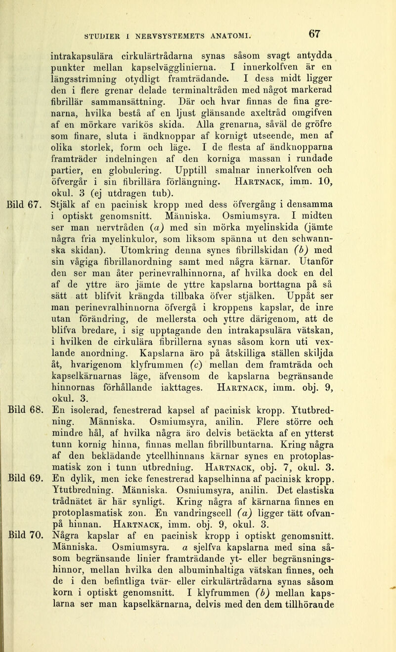 intrakapsulära cirkulärtrådarna synas såsom svagt antydda punkter mellan kapselvägglinierna. I innerkolfven är en längsstrimning otydligt framträdande. I dess midt ligger den i nere grenar delade terminaltråden med något markerad fibrillär sammansättning. Där och hvar finnas de fina gre- narna, hvilka bestå af en ljust glänsande axeltråd omgifven af en mörkare varikös skida. Alla grenarna, såväl de gröfre som finare, sluta i ändknoppar af kornigt utseende, men af olika storlek, form och läge. I de flesta af ändknopparna framträder indelningen af den korniga massan i rundade partier, en globulering. Upptill smalnar innerkolfven och öfvergår i sin fibrillära förlängning. Hartnack, imm. 10, okul. 3 (ej utdragen tub). Bild 67. Stjälk af en pacinisk kropp med dess öfvergång i densamma i optiskt genomsnitt. Människa. Osmiumsyra. I midten ser man nervtråden (a) med sin mörka myelinskida (jämte några fria myelinkulor, som liksom spänna ut den schwann- ska skidan). Utomkring denna synes fibrillskidan (b) med sin vågiga fibrillanordning samt med några kärnar. Utanför den ser man åter perinevralhinnorna, af hvilka dock en del af de yttre äro jämte de yttre kapslarna borttagna på så sätt att blifvit krängda tillbaka öfver stjälken. Uppåt ser man perinevralhinnorna öfvergå i kroppens kapslar, de inre utan förändring, de mellersta och yttre därigenom, att de blifva bredare, i sig upptagande den intrakapsulära vätskan, i hvilken de cirkulära fibrillerna synas såsom korn uti vex- lande anordning. Kapslarna äro på åtskilliga ställen skiljda åt, hvarigenom klyfrummen (c) mellan dem framträda och kapselkärnarnas läge, äfvensom de kapslarna begränsande hinnornas förhållande iakttages. Hartnack, imm. obj. 9, okul. 3. Bild 68. En isolerad, fenestrerad kapsel af pacinisk kropp. Ytutbred- ning. Människa. Osmiumsyra, anilin. Flere större och mindre hål, af hvilka några äro delvis betäckta af en ytterst tunn kornig hinna, finnas mellan fibrillbuntarna. Kring några af den beklädande ytcellhinnans kärnar synes en protoplas- matisk zon i tunn utbredning. Hartnack, obj. 7, okul. 3. Bild 69. En dylik, men icke fenestrerad kapselhinna af pacinisk kropp. Ytutbredning. Människa. Osmiumsyra, anilin. Det elastiska trådnätet är här synligt. Kring några af kärnarna finnes en protoplasmatisk zon. En vandringscell (a) ligger tätt ofvan- på hinnan. Hartnack, imm. obj. 9, okul. 3. Bild 70. Några kapslar af en pacinisk kropp i optiskt genomsnitt. Människa. Osmiumsyra. a sjelfva kapslarna med sina så- som begränsande linier framträdande yt- eller begränsnings- hinnor, mellan hvilka den albuminhaltiga vätskan finnes, och de i den befintliga tvär- eller cirkulärtrådarna synas såsom korn i optiskt genomsnitt. I klyfrummen (b) mellan kaps- larna ser man kapselkärnarna, delvis med den dem tillhörande