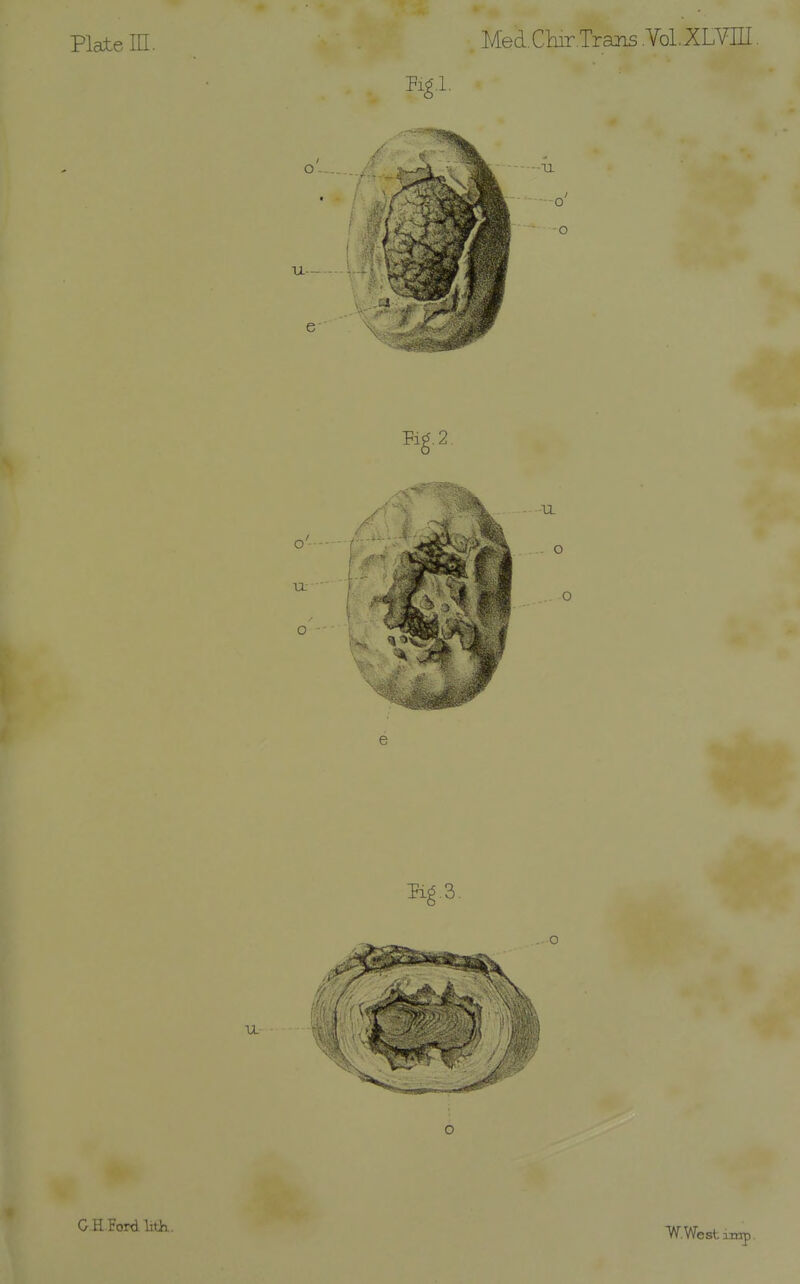 Plate III. Med. Chir.Trans .Vol.XLVin e GHFordlith. W.West iirrp