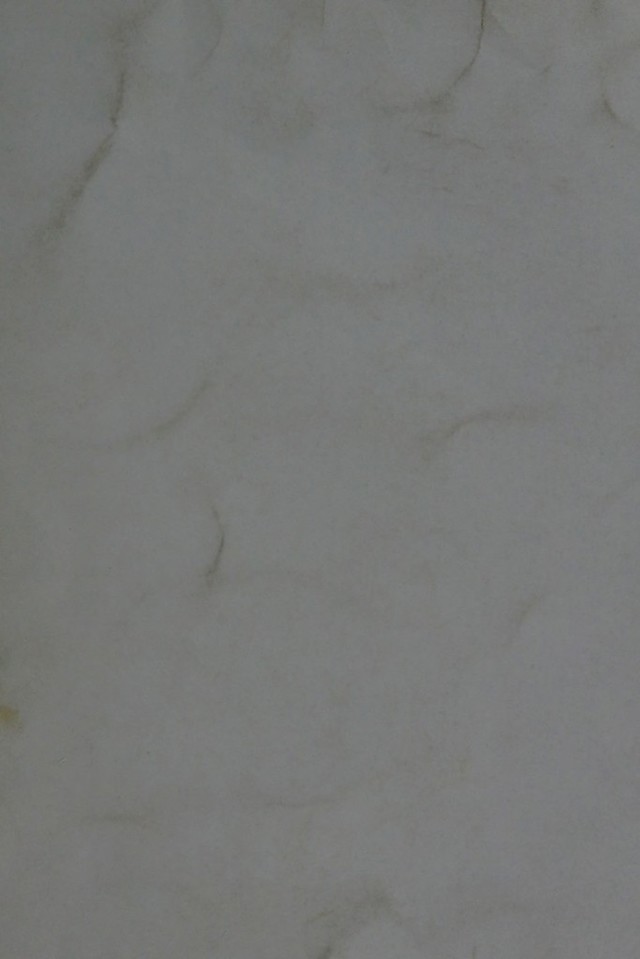 digitised image 1
