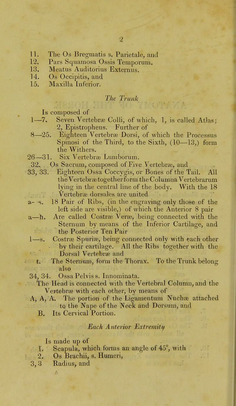 11. The Os Bregmatis s. Parietale, and 12. Pars Squamosa Ossis Temporum. 13. Meatus Auditovius Externus. 14. Os Occipitis, and 15. Maxilla Inferior. The Trunk Is composed of 1—7. Seven Vertebrae Colli, of which, 1, is called Atlas; 2, Epistropheus. Further of 8—25. Eighteen Vertebrae Dorsi, of which the Processus Spinosi of the Third, to the Sixth, (10—13,) form the Withers. 26—31. Six Vertebrae Lumborum. 32. Os Sacrum, composed of Five Vertebrae, and 33, 33. Eighteen Ossa Coccygis, or Bones of the Tail. All the Vertebrae together form the Columna Vertebrarum lying in the central line of the body. With the 18 Vertebrae dorsales are united a- -s. 18 Pair of Ribs, (in the engraving only those of the left side are visible,) of which the Anterior 8 pair a—h. Are called Costrae Verae, being connected with the Sternum by means of the Inferior Cartilage, and the Posterior Ten Pair 1—s. Costrae Spuriae, being connected only with each other by their cartilage. All the Ribs together with the Dorsal Vertebrae and t. The Sternum, form the Thorax. To the Trunk belong also 34, 34. Ossa Pelvis s. Innominata. The Head is connected with the Vertebral Column, and the Vevtebrae with each other, by means of A, A, A. The portion of the Ligamentum Nuchae attached to the Nape of the Neck and Dorsum, and B. Its Cervical Portion. Each Anterior Extremiti/ Is made up of 1. Scapula, which forms an angle of 45°, witli 2. Os Brachii, s. Humeri, 3, 3 Radius, and