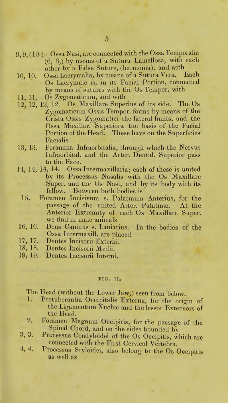 9,9, (10.) Ossa Nasi, are connected with the Ossa Temporalia (6, 6,) by means of a Sutura Lamellosa, with each other by a False Suture, (harmonia), and with 10, 10. Ossa Lacrymaha, by means of a Sutura Vera. Each Os Lacrymale is, in its Facial Portion, connected by means of sutures with the Os Tempor. with 11, 11. Os Zygomaticura, and with 12, 12, 12, 12. Os Maxillare Superius of its side. The Os Zygomaticum Ossis Tempor. forms by means of the Crista Ossis Zygomatici the lateral limits, and the Ossa Maxillar. Superiora the basis of the Facial Portion of the Head. These have on the Superficies Facialis 13, 13. Foramina Infraorbitalia, through which the Nervus Infraorbital, and the Arter. Dental. Superior pass to the Face. 14, 14, 14, 14. Ossa Intermaxillaria; each of these is united by its Processus Nasalis with the Os Maxillare Super, and the Os Nasi, and by its body with its fellow. Between both bodies is 15. Foramen Incisivum s. Palatinum Anterius, for the passage of the united Arter. Palatinse. At the Anterior Extremity of each Os Maxillare Super, we find in male animals 16, 16. Dens Caninus s. Laniarius. In the bodies of the Ossa Intermaxill. are placed 17, 17. Dentes Incisorii Externi. 18, 18. Dentes Incisorii Medii. 19, 19. Dentes Incisorii Interni. FIG. n. The Head (without the Lower Jaw,) seen from below. 1. Protuberantia Occipitalis Externa, for the origin of the Ligamentum Nuchge and the lessor Extensors of the Head. 2. Foramen Magnum Occipitis, for the passage of the Spinal Chord, and on the sides bounded by 3, 3. Processus Condyloidei of the Os Occipitis, which are connected with the First Cervical Vertebra. 4, 4. Processus Styloidci, also belong to the Os Occipitis as well as